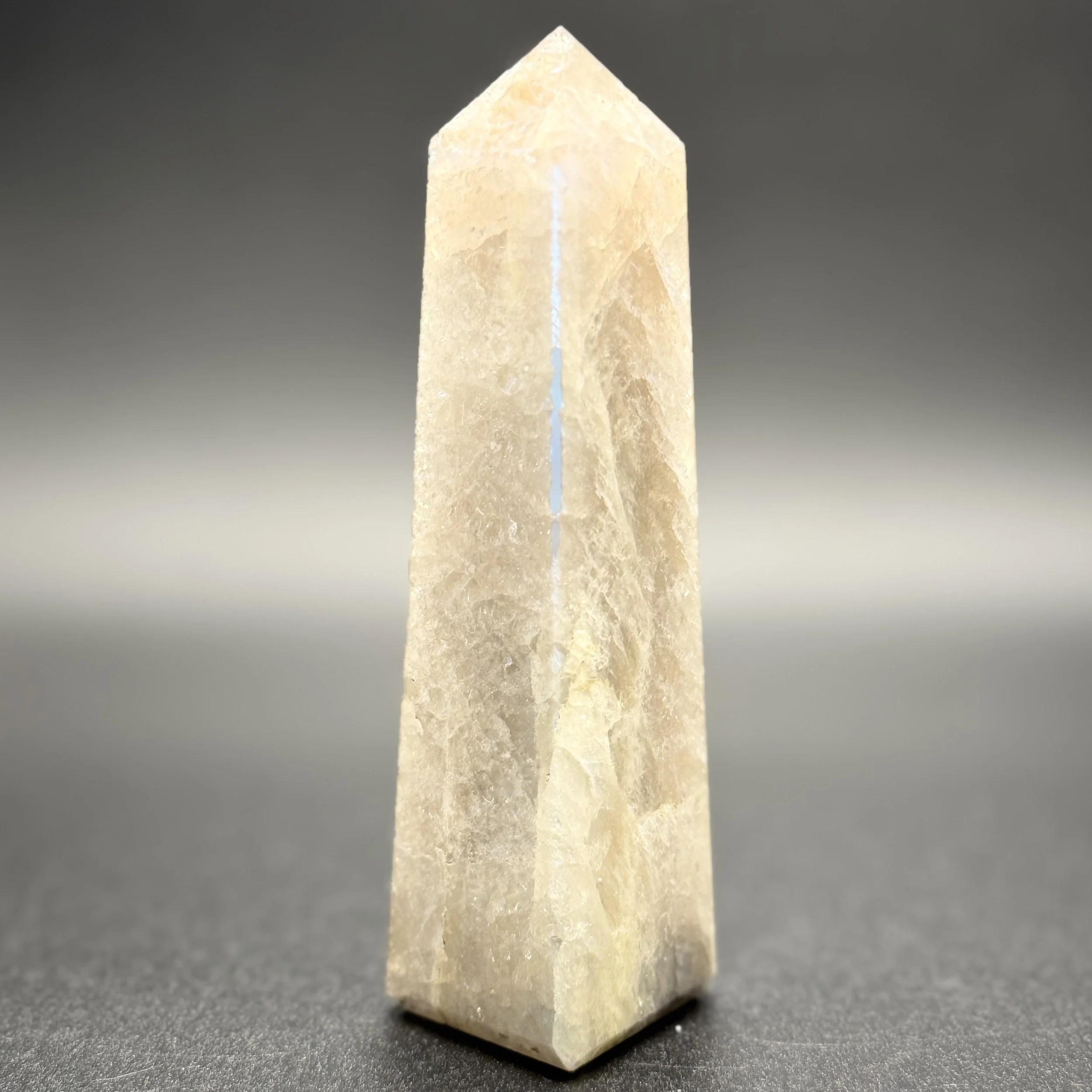 Moonstone Tower B - 1.jpg