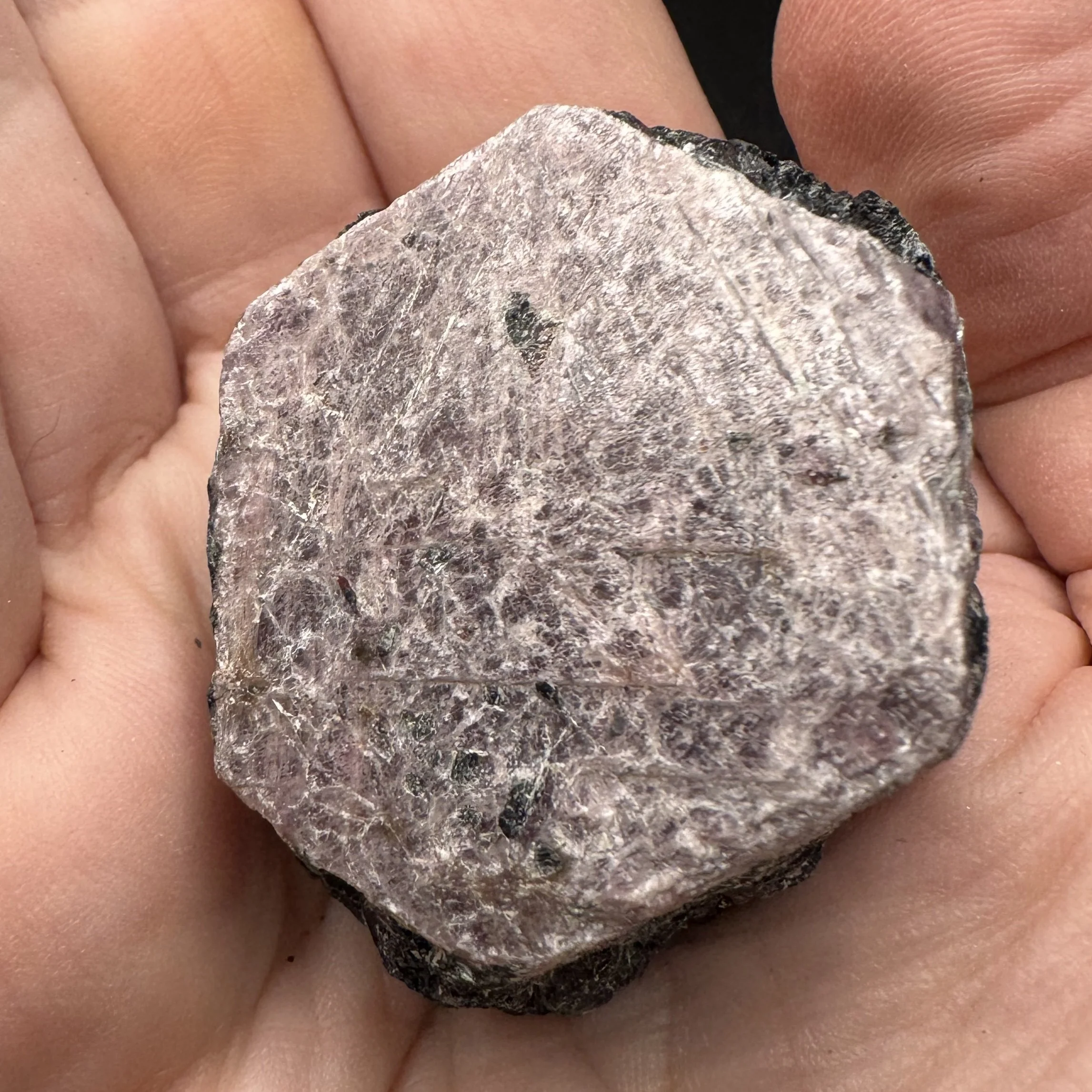 Ruby - 4.jpg