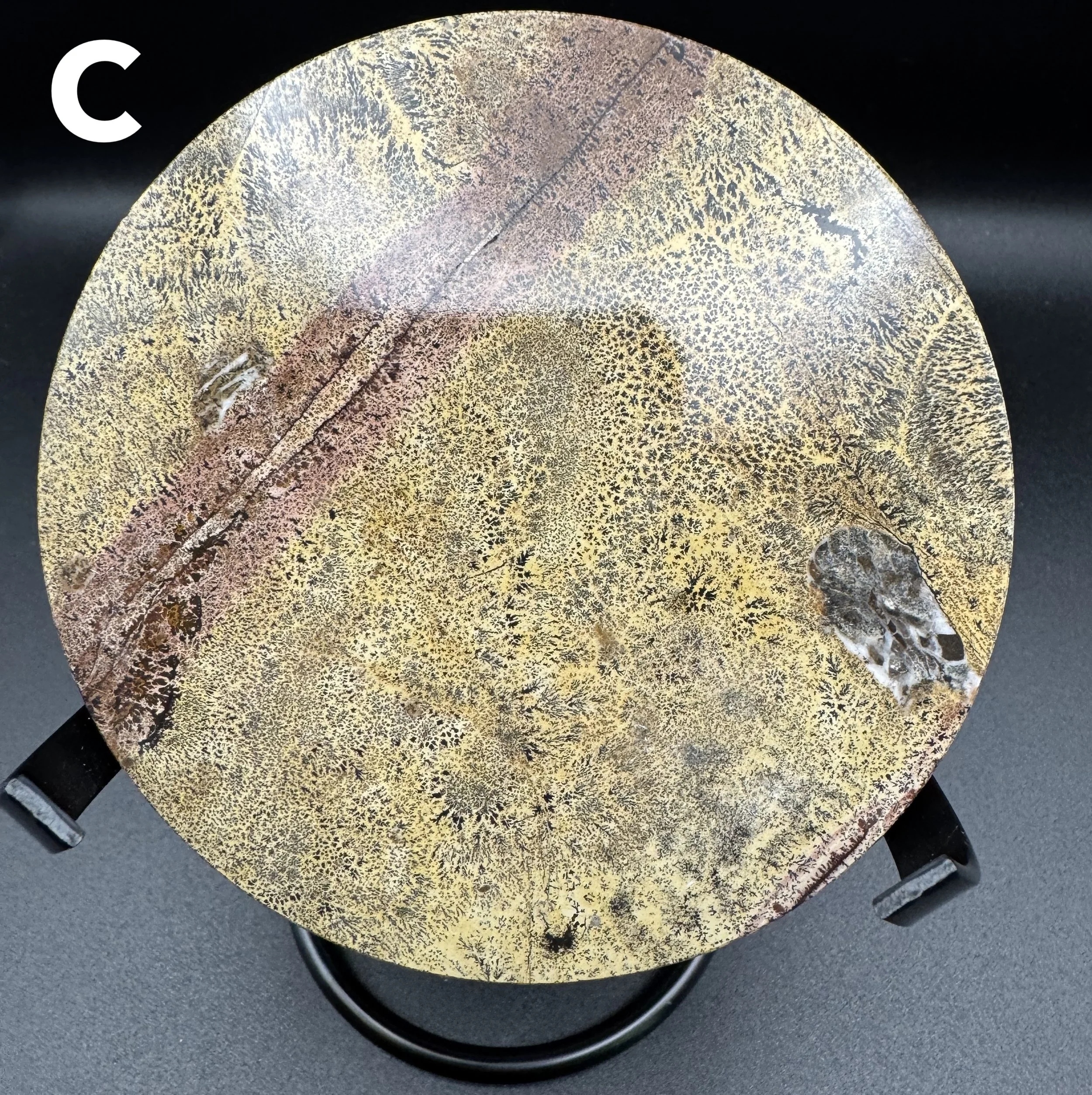 Picture Jasper Plate C - 6.jpg