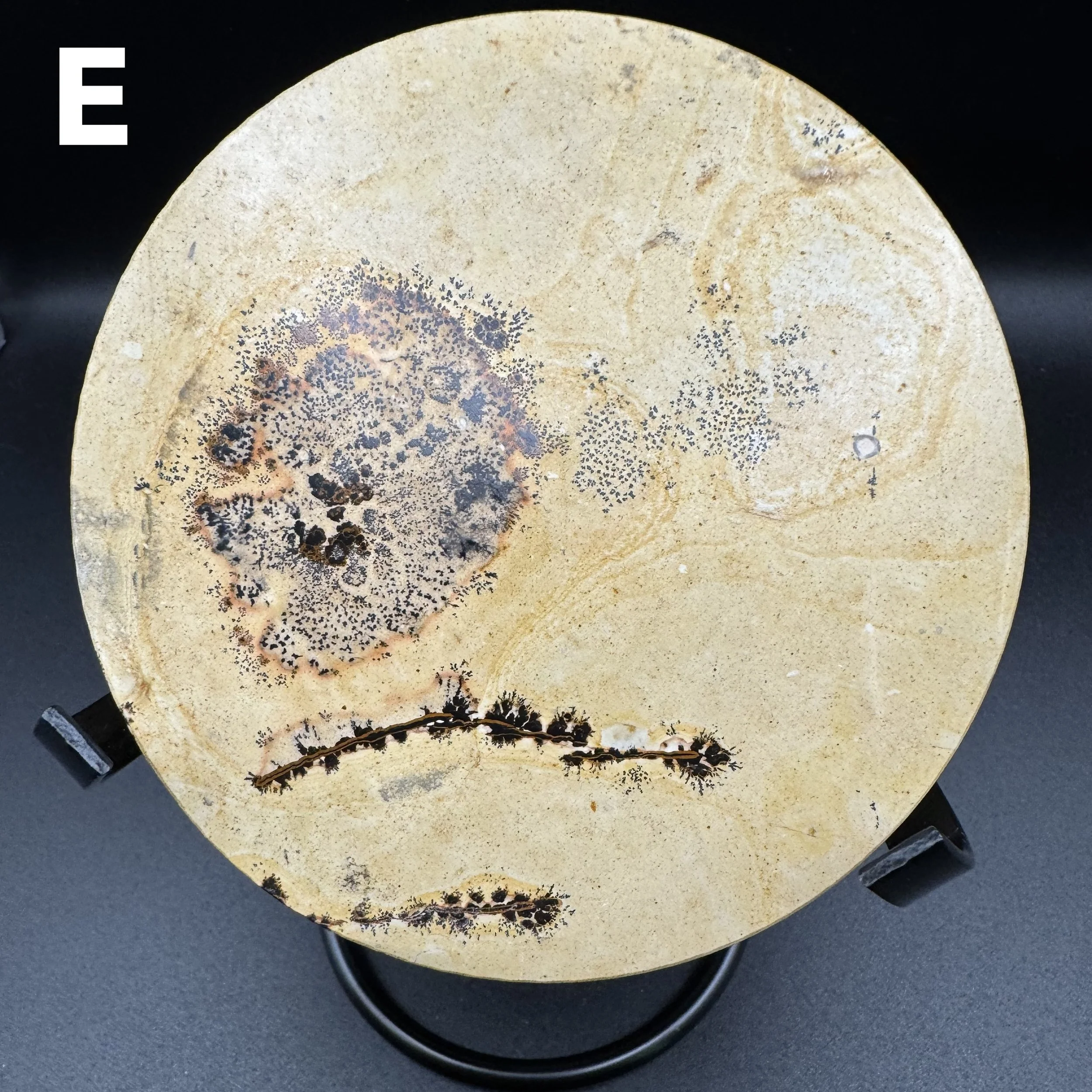 Picture Jasper Plate E - 5.jpg