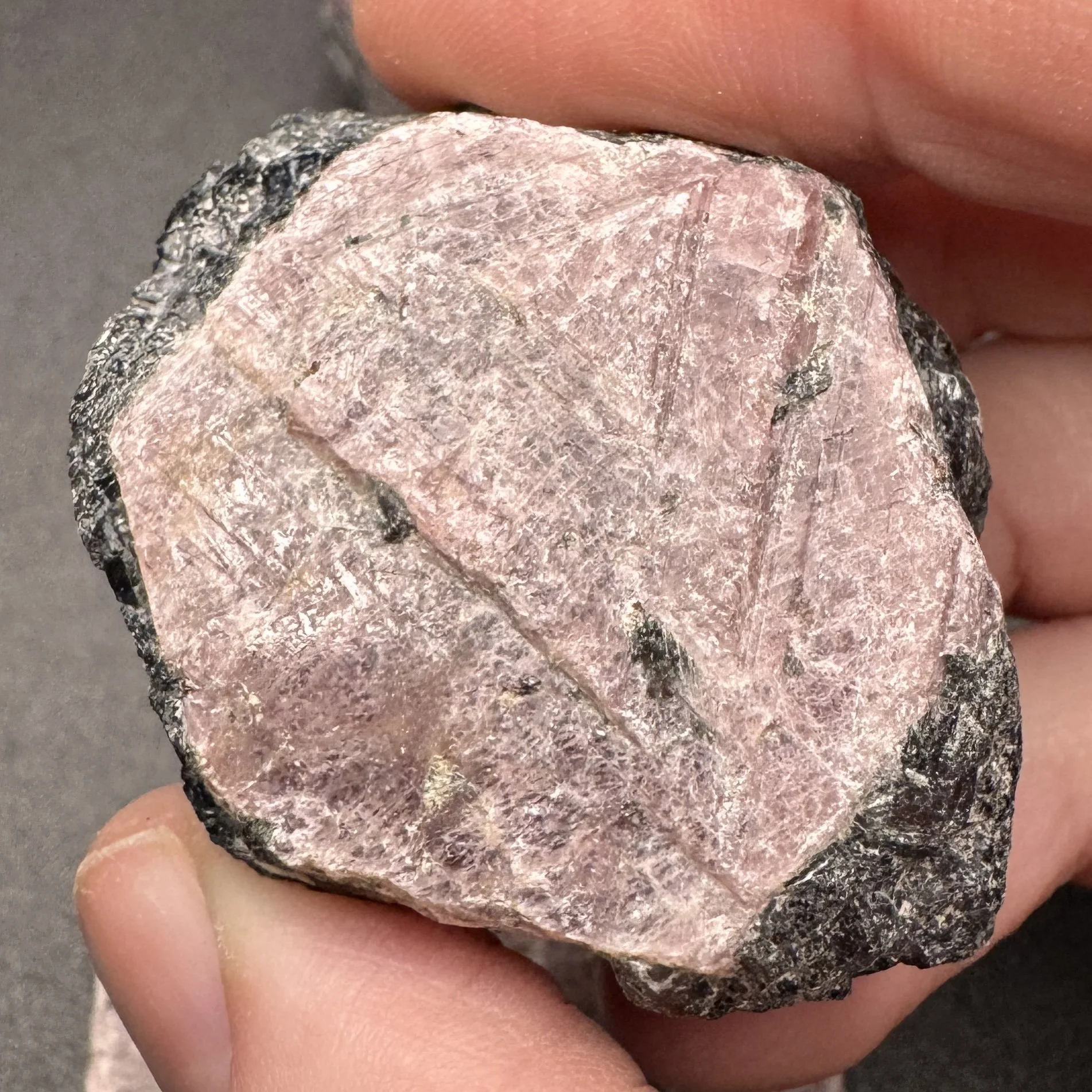 Ruby - 6.jpg