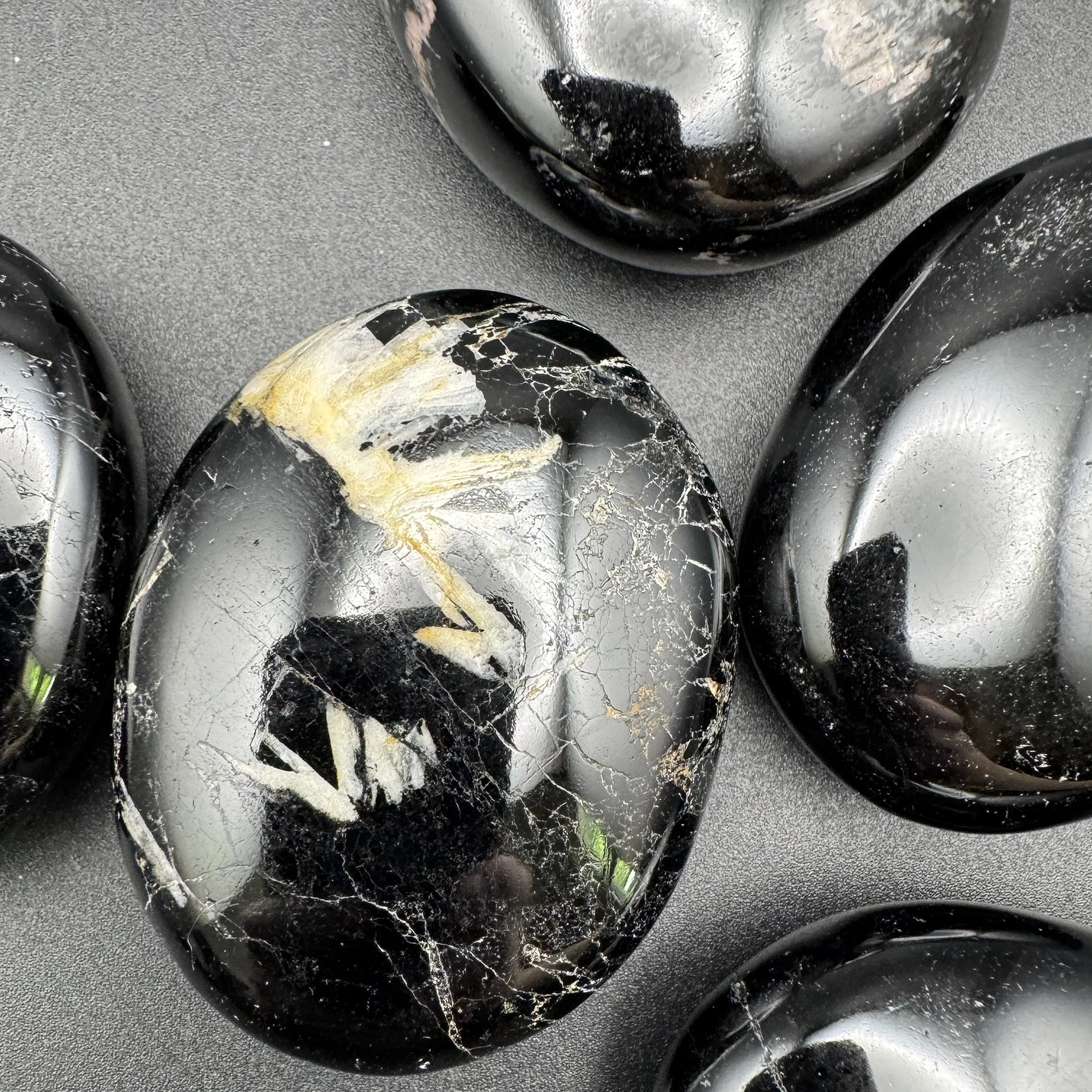 Black Tourmaline Palms - 2.jpg