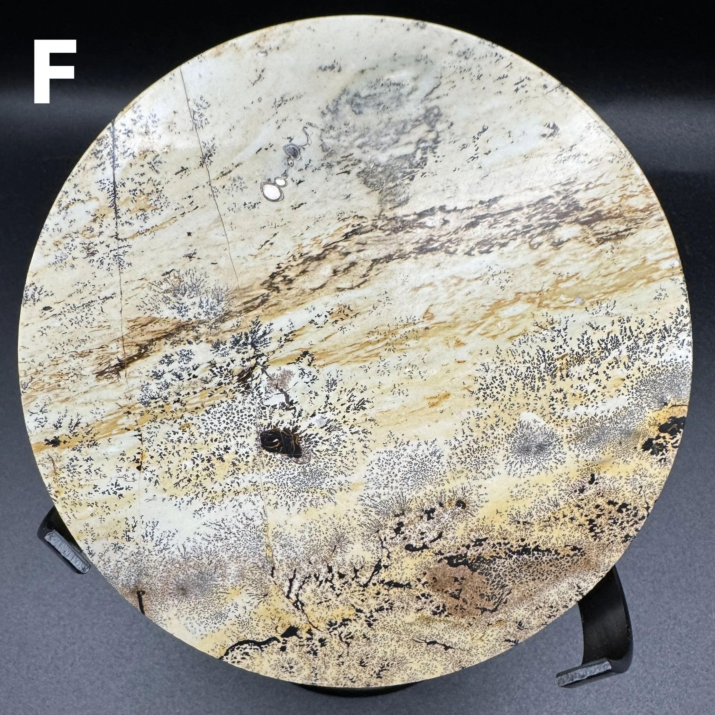 Picture Jasper Plate F - 5.jpg