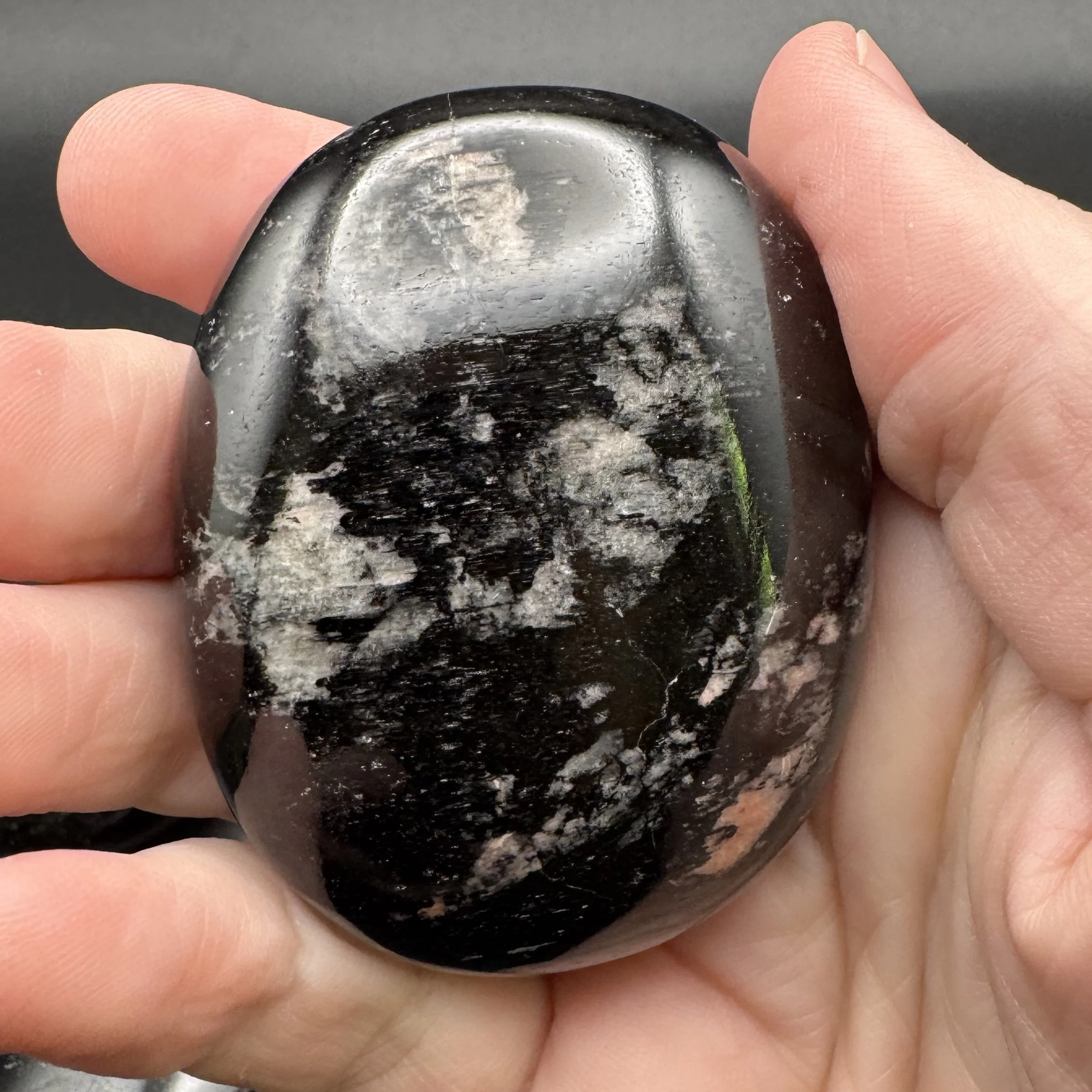 Black Tourmaline Palms - 5.jpg