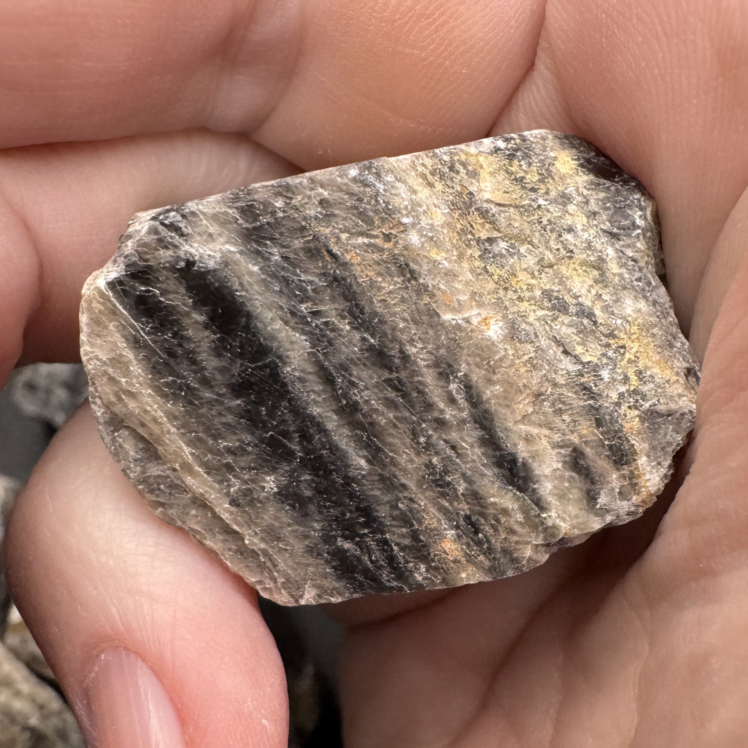 Black Moonstone - 3.jpg