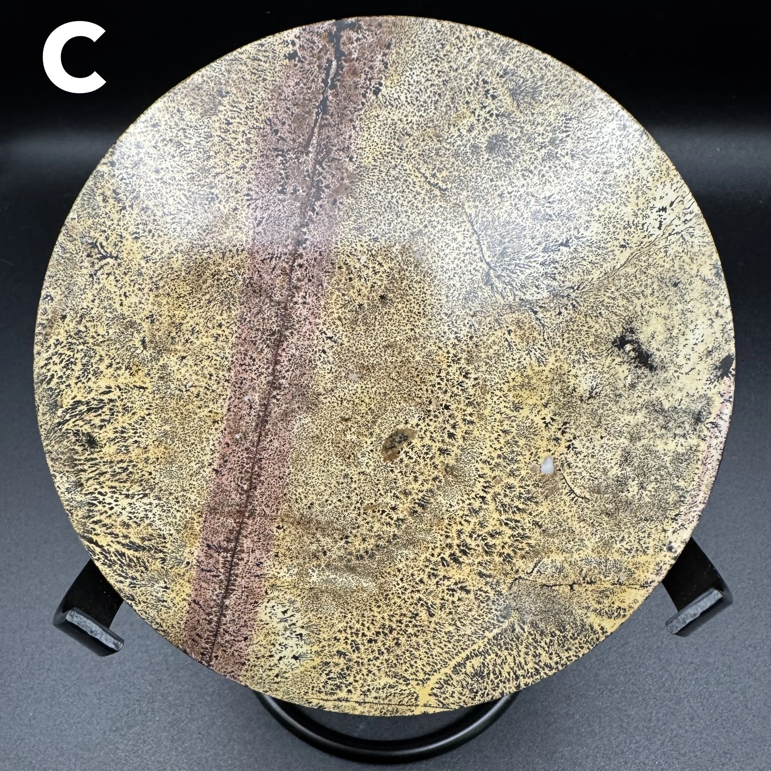 Picture Jasper Plate C - 5.jpg
