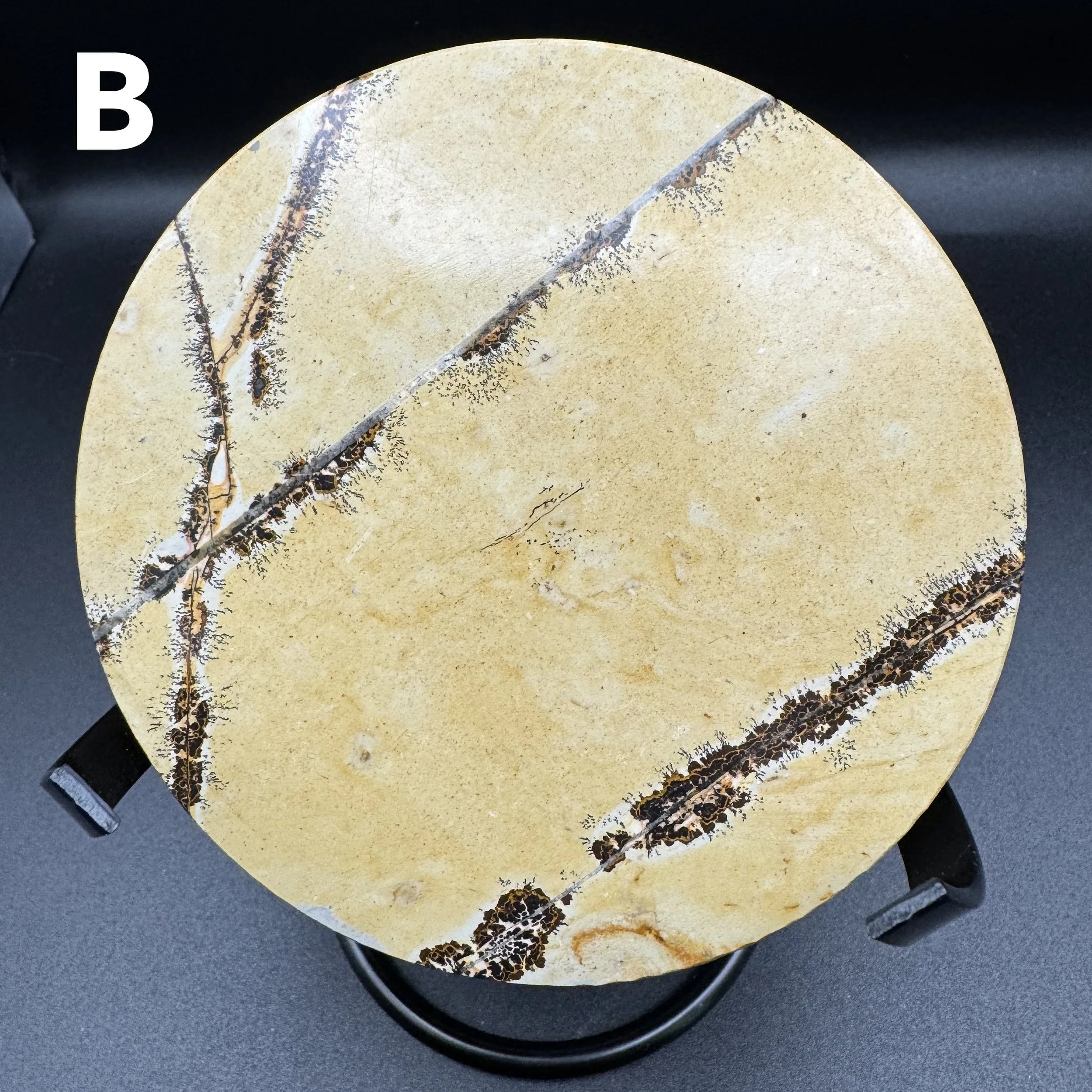 Picture Jasper Plate B - 6.jpg