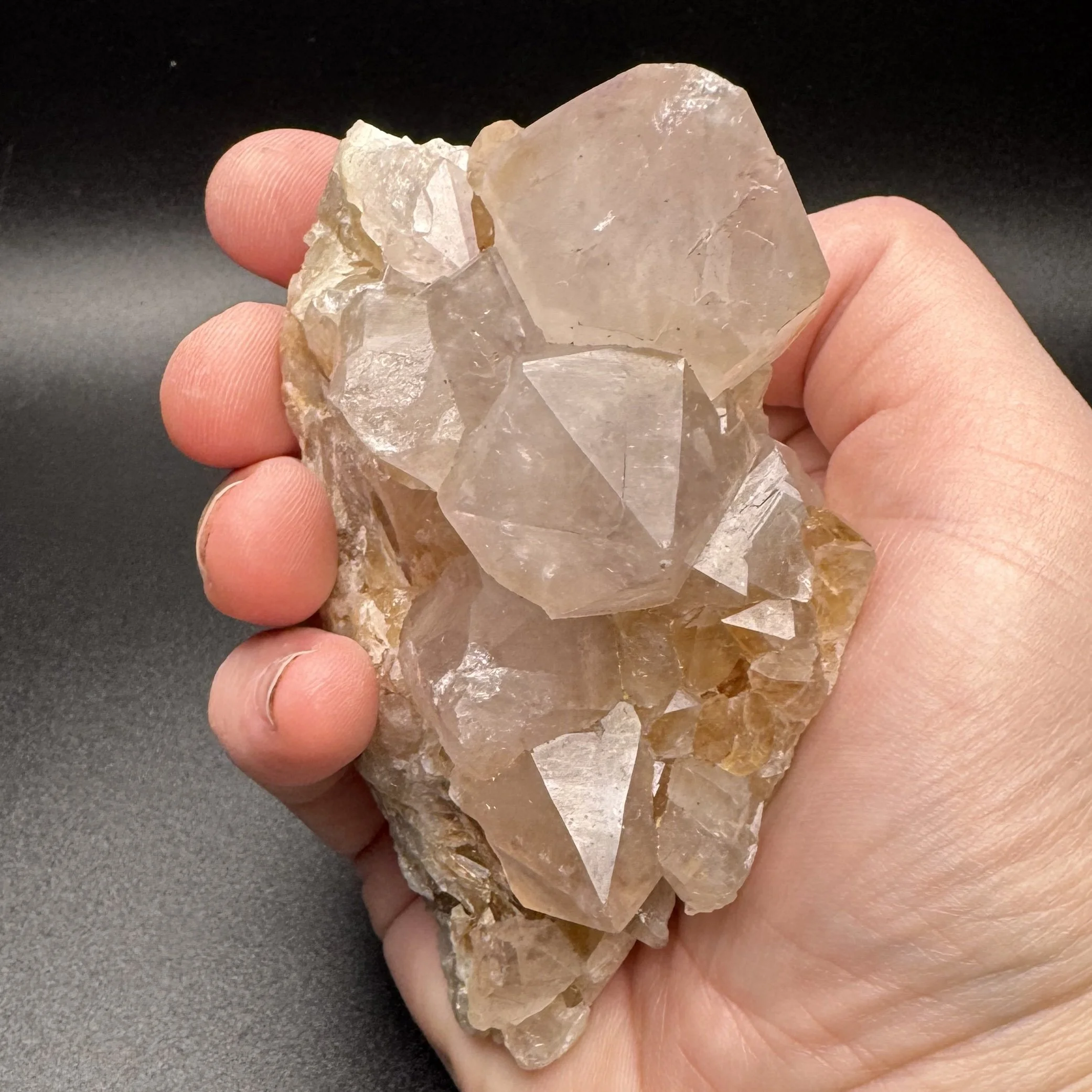 Golden Healer & Amethyst - 5.jpg