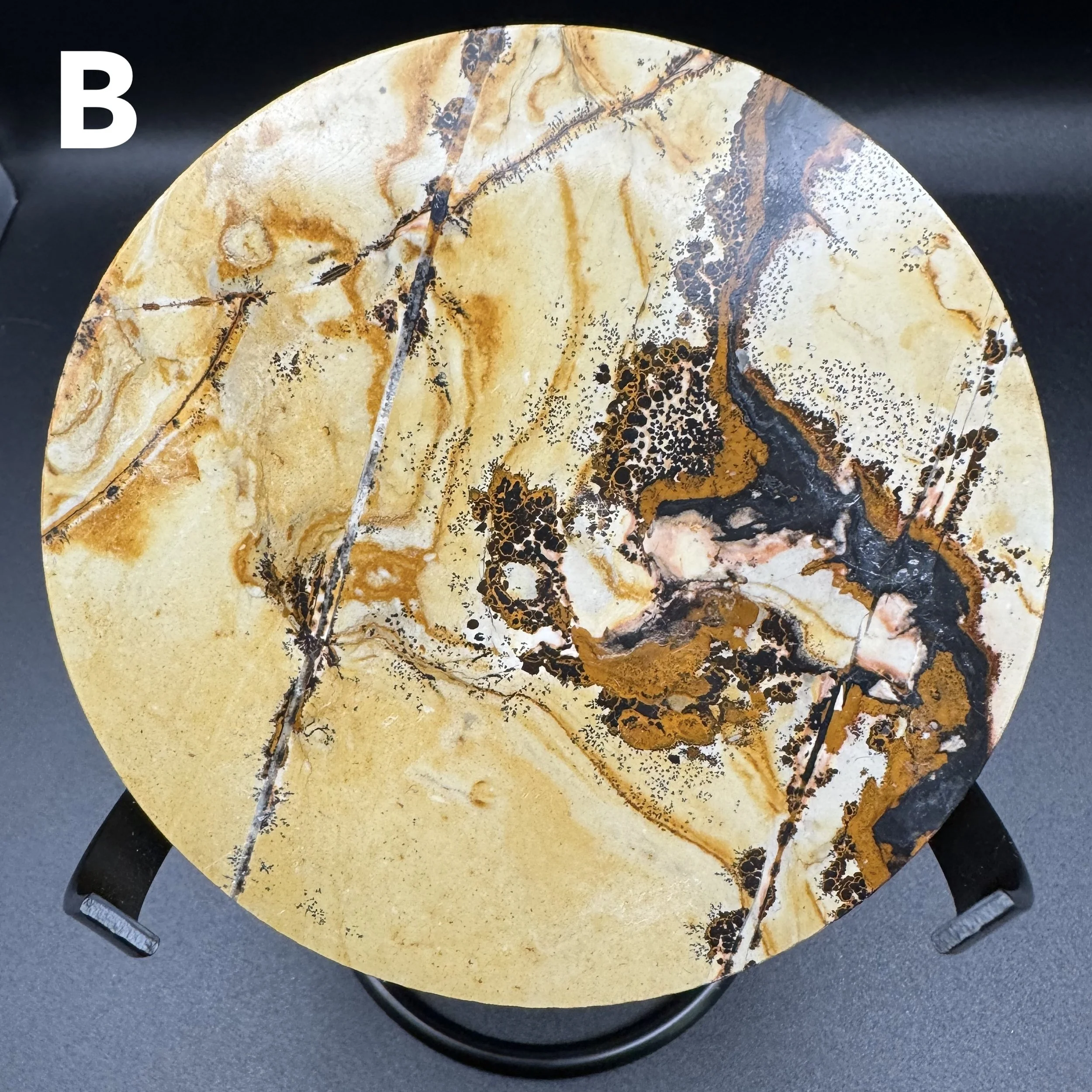 Picture Jasper Plate B - 5.jpg