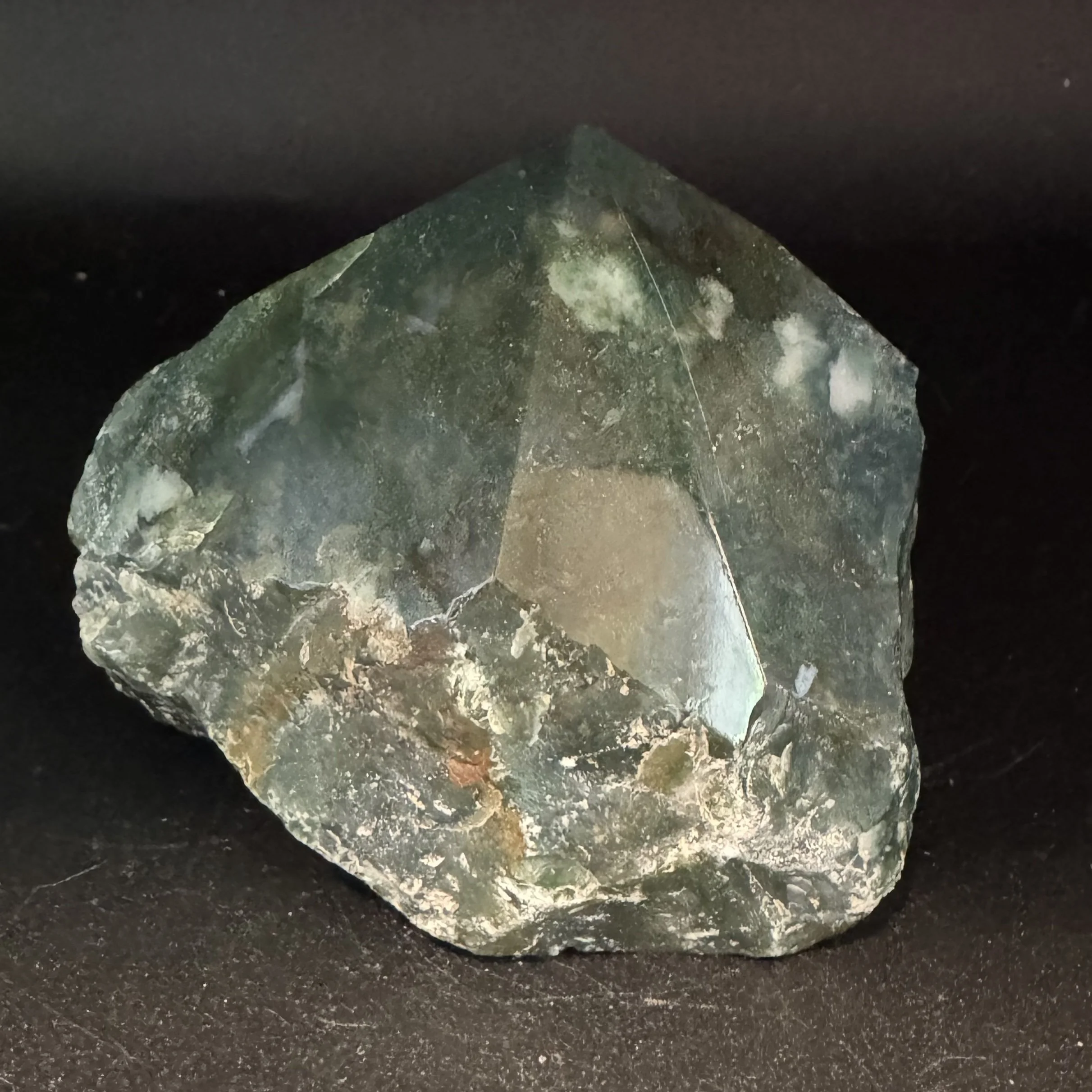 Moss Agate Top Polish D - 1.jpg