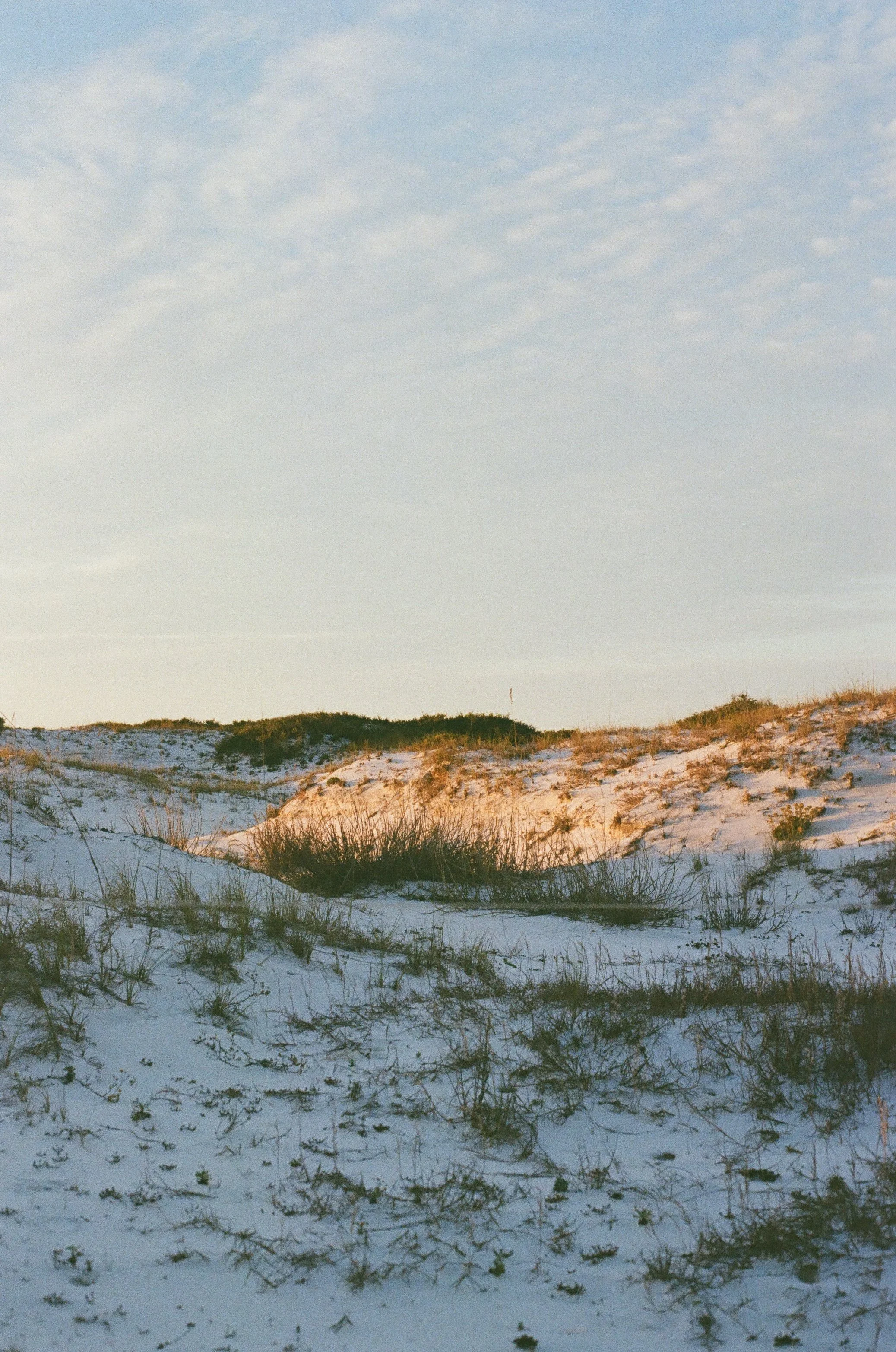 White sandy dunes with sparse grass and shrubbery under a cloudy sky at sunset.