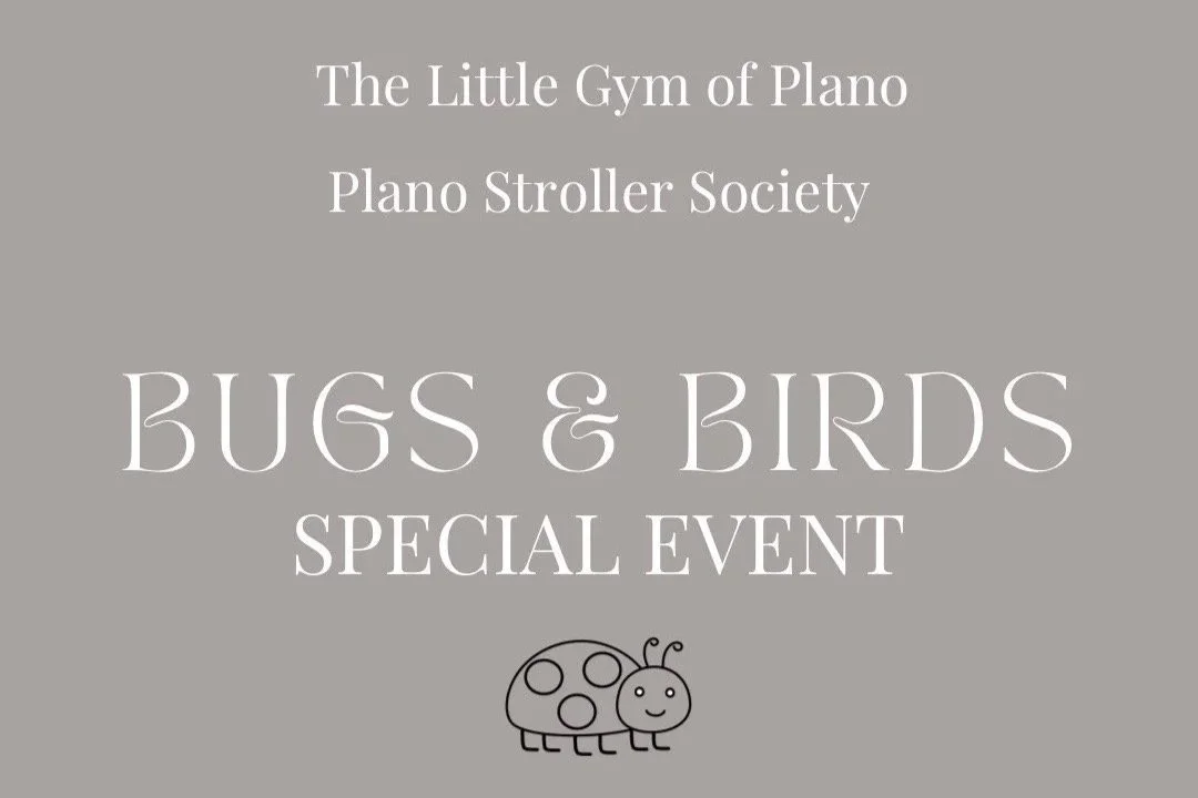 Bugs & Birds Class at The Little Gym of Plano