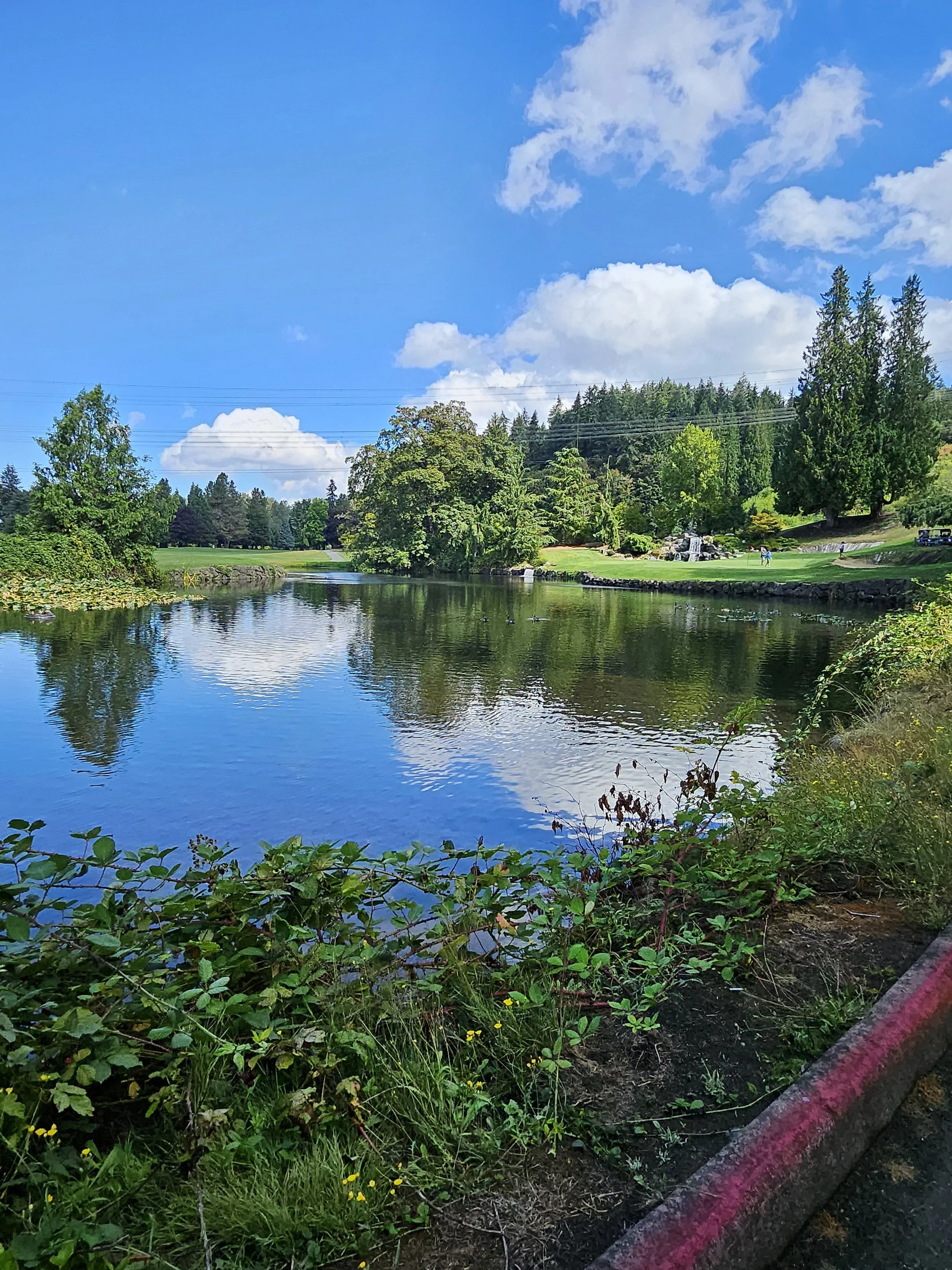 Scenic view of a lake with clear blue sky, fluffy clouds, lush greenery, and trees surrounding the water; a small waterfall and some people on the grass area in the distance.