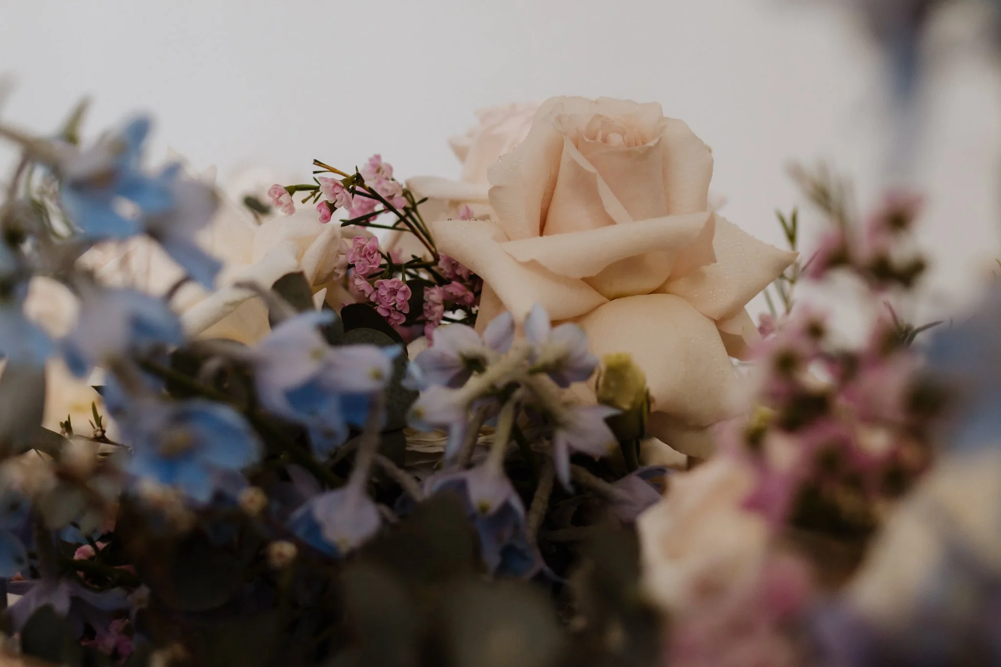 WEBSITE RE-EDITS (3 of 9).jpg