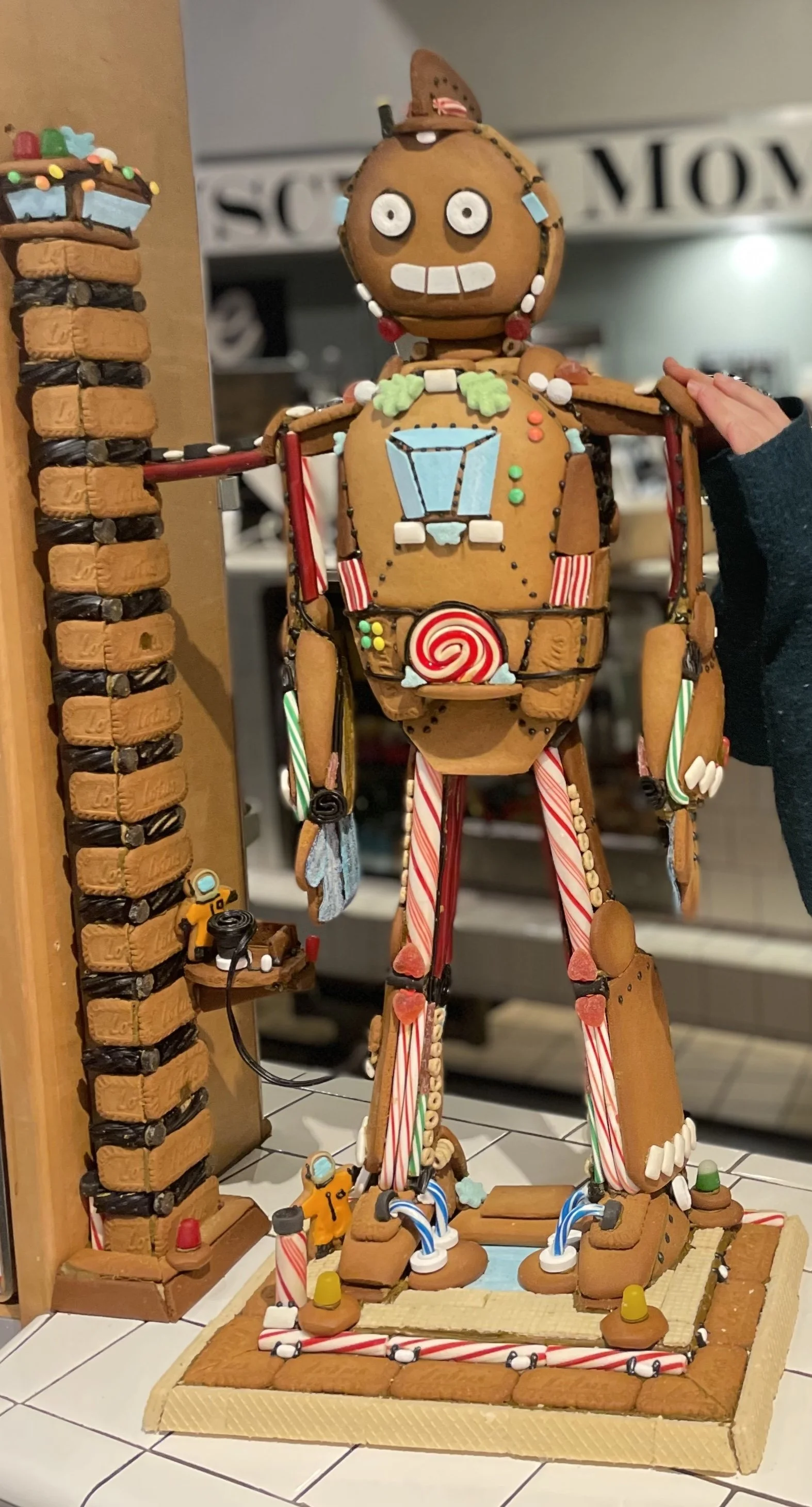GingyBotCM.jpeg