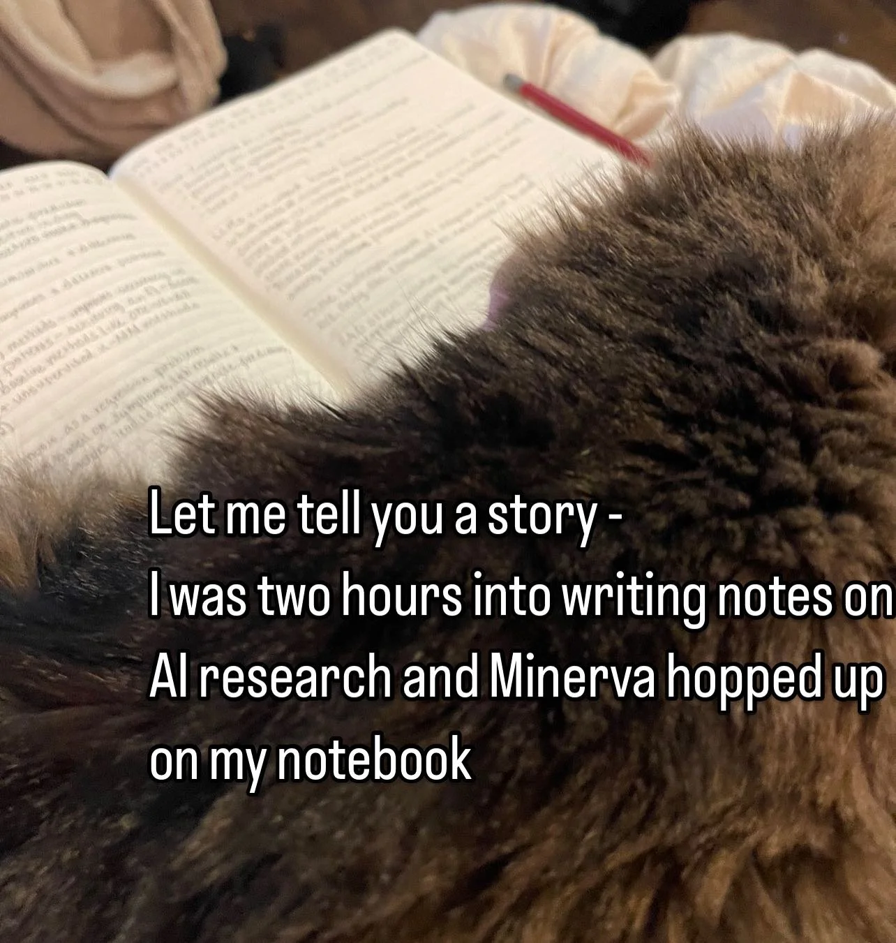 Minerva ❤️