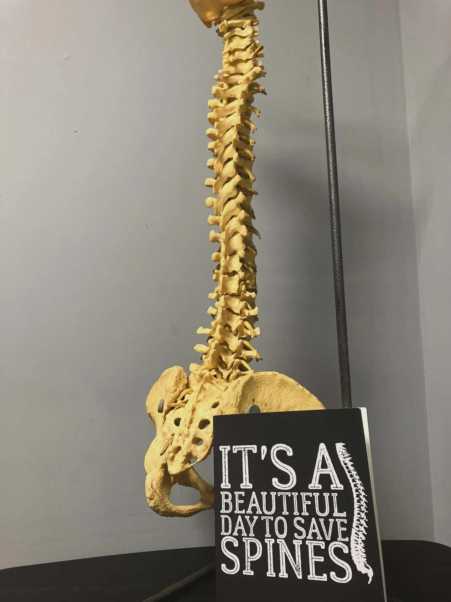 Don&rsquo;t forget your chiropractic appointment 📅