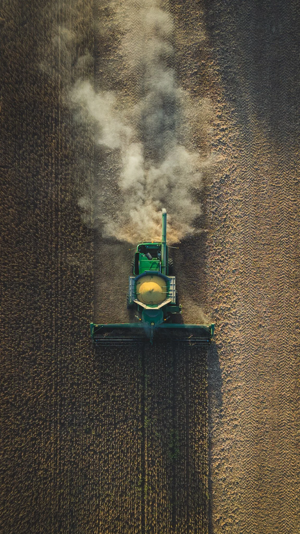DJI_0198-2.jpg
