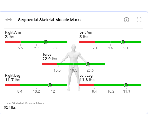 Seca: Our Body Composition Analyzer