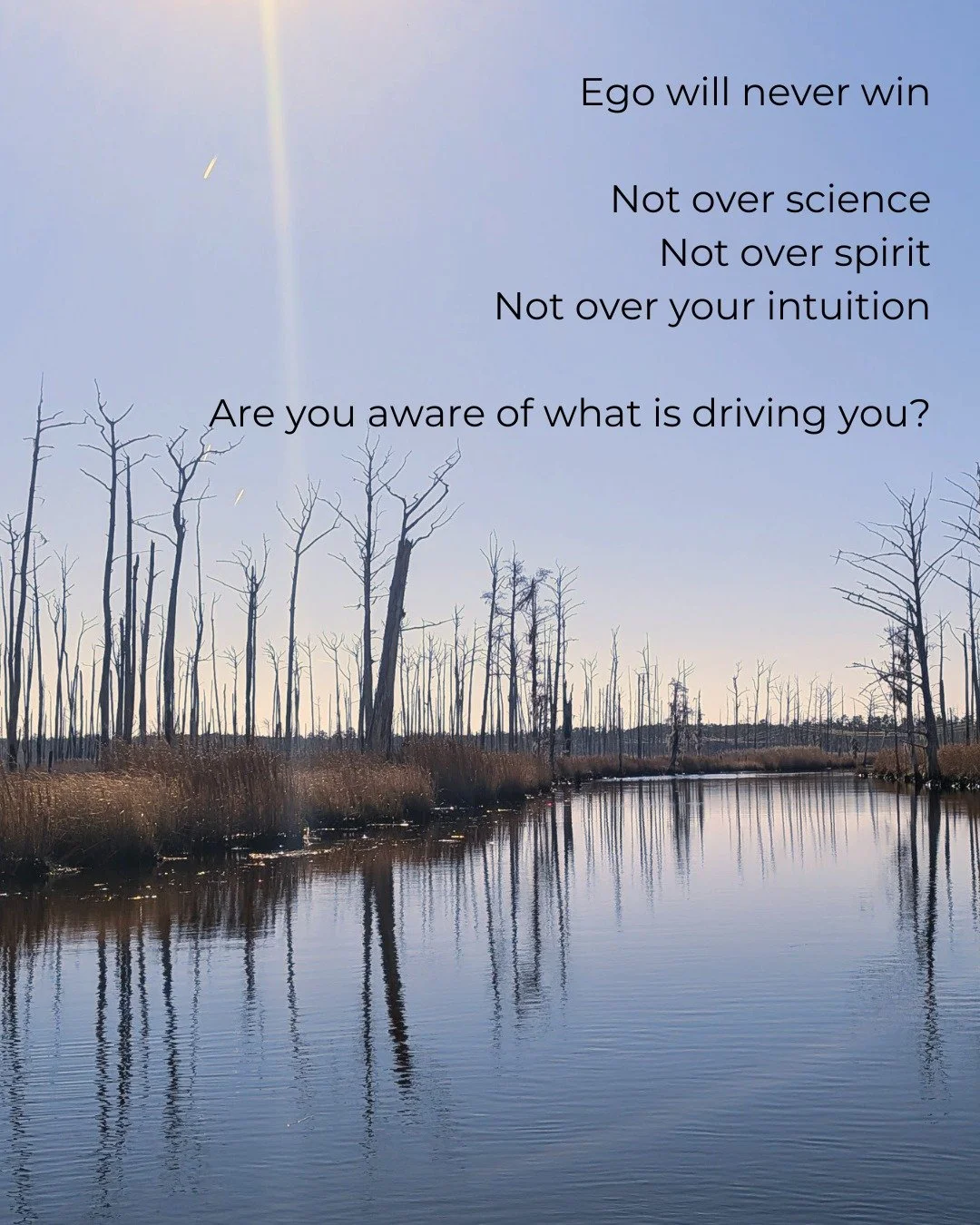 I wrote a blog post about the art of letting go and the yogic philosophy of surrender - ishvara pranidhana.

You can access it on my website. My blog is free for all!

If you'd like instant access, you can join my newsletter from my website.

Peace ✌