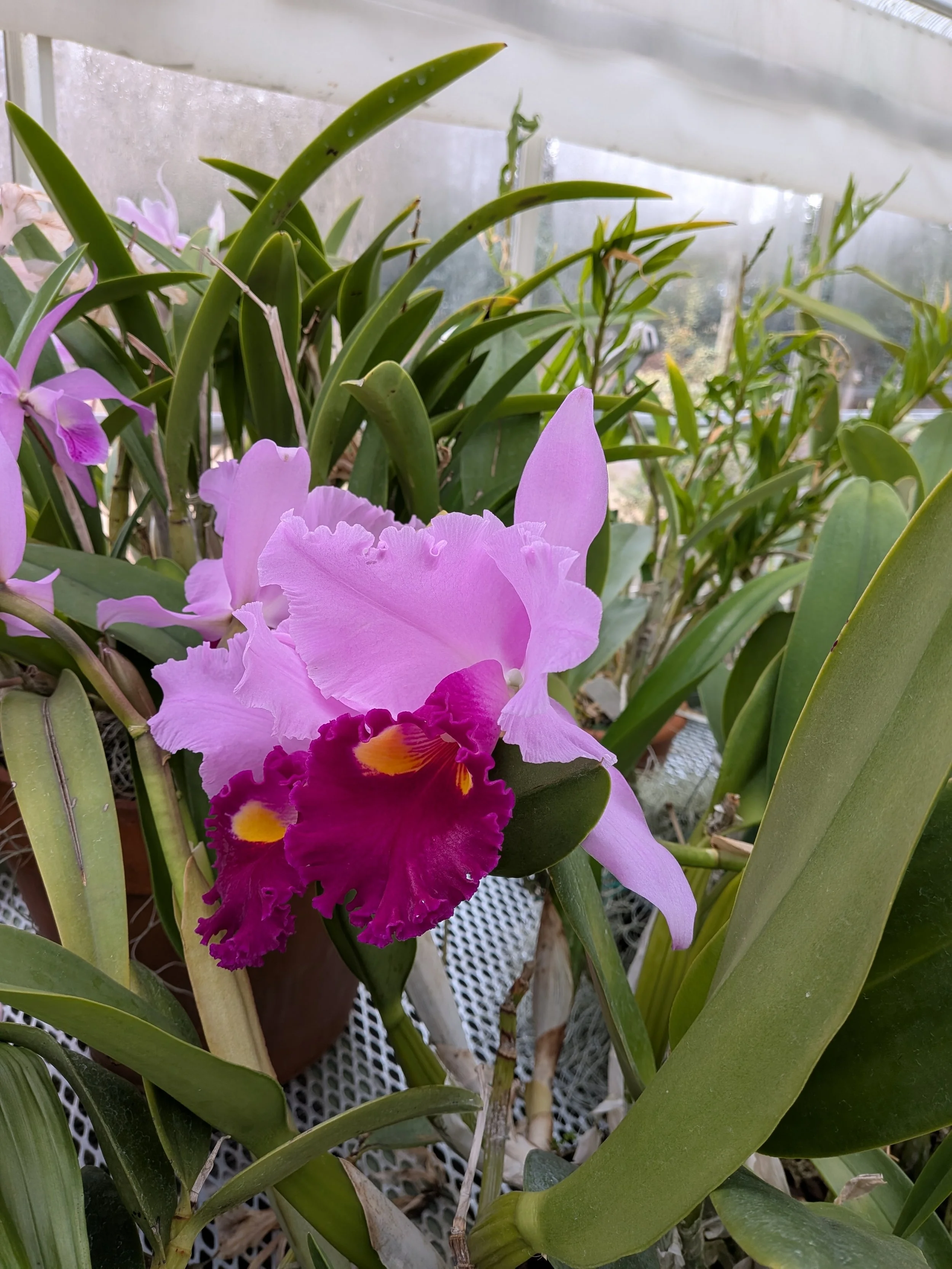 What Really Determines Your Health? It's Not What Happens in the Exam Room