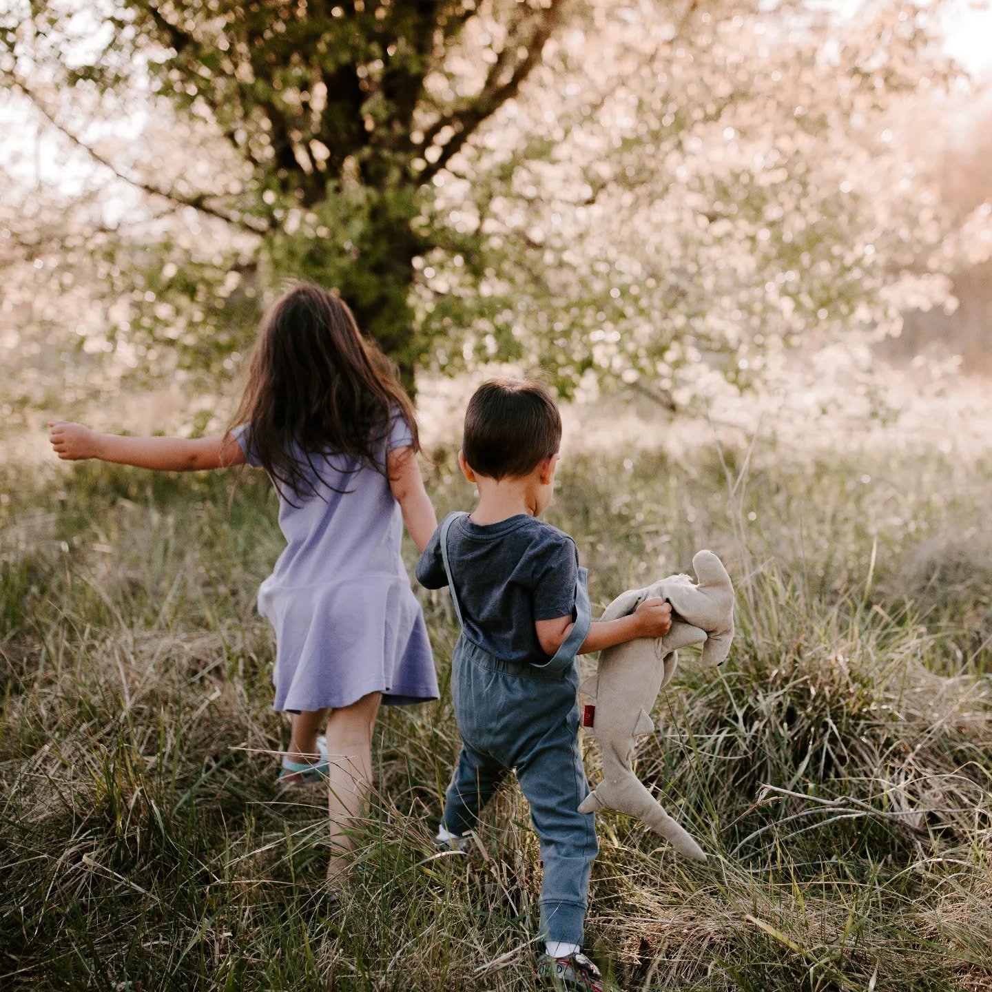 [Post nothing to do with menopause, everything to do with midlife]

As a yoga teacher of 14 years, I've taken many breaks in my teaching career. There are unspoken challenges of teaching yoga that many don't understand until they are teachers themsel