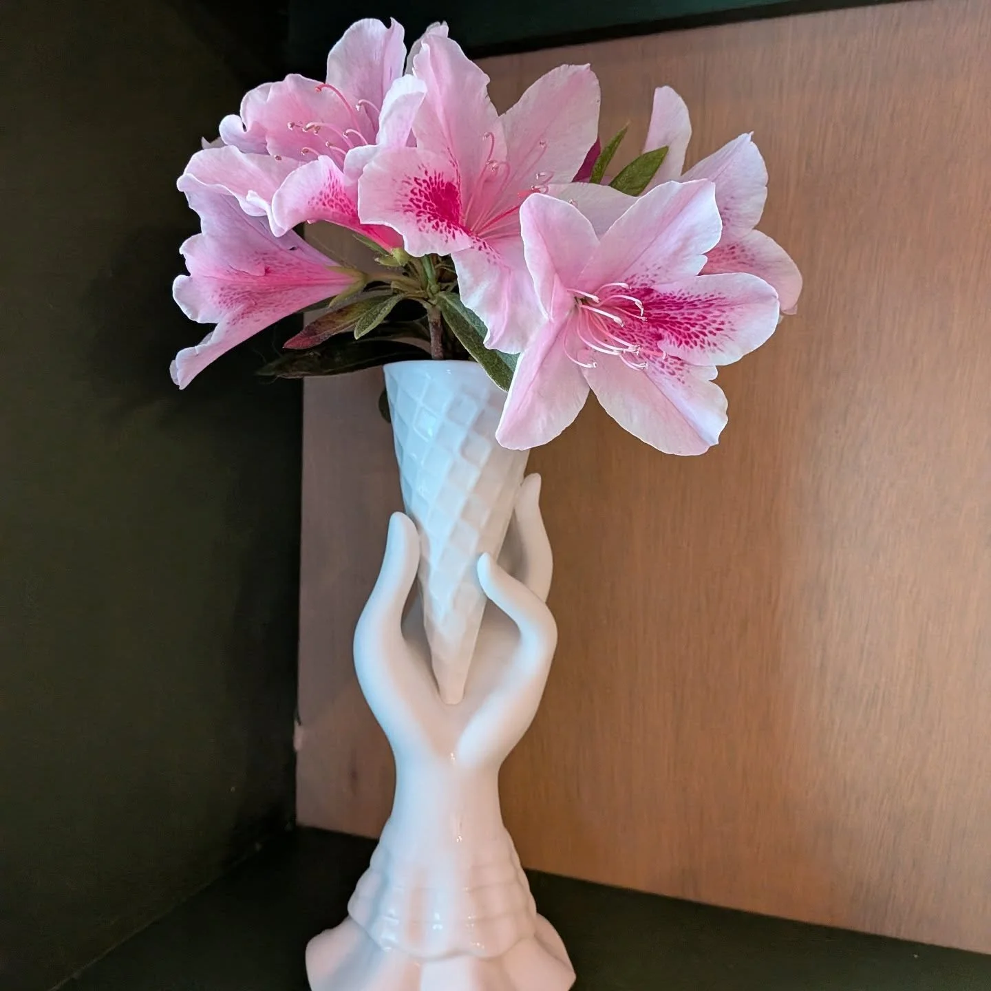 Amazing what you can see when you come home and your lawn has been mowed.

Let's talk about the "unconventional" self-care. Such as hiring someone to mow your lawn. Or help with cleaning, or help with childcare. Self-care can be lots of thi