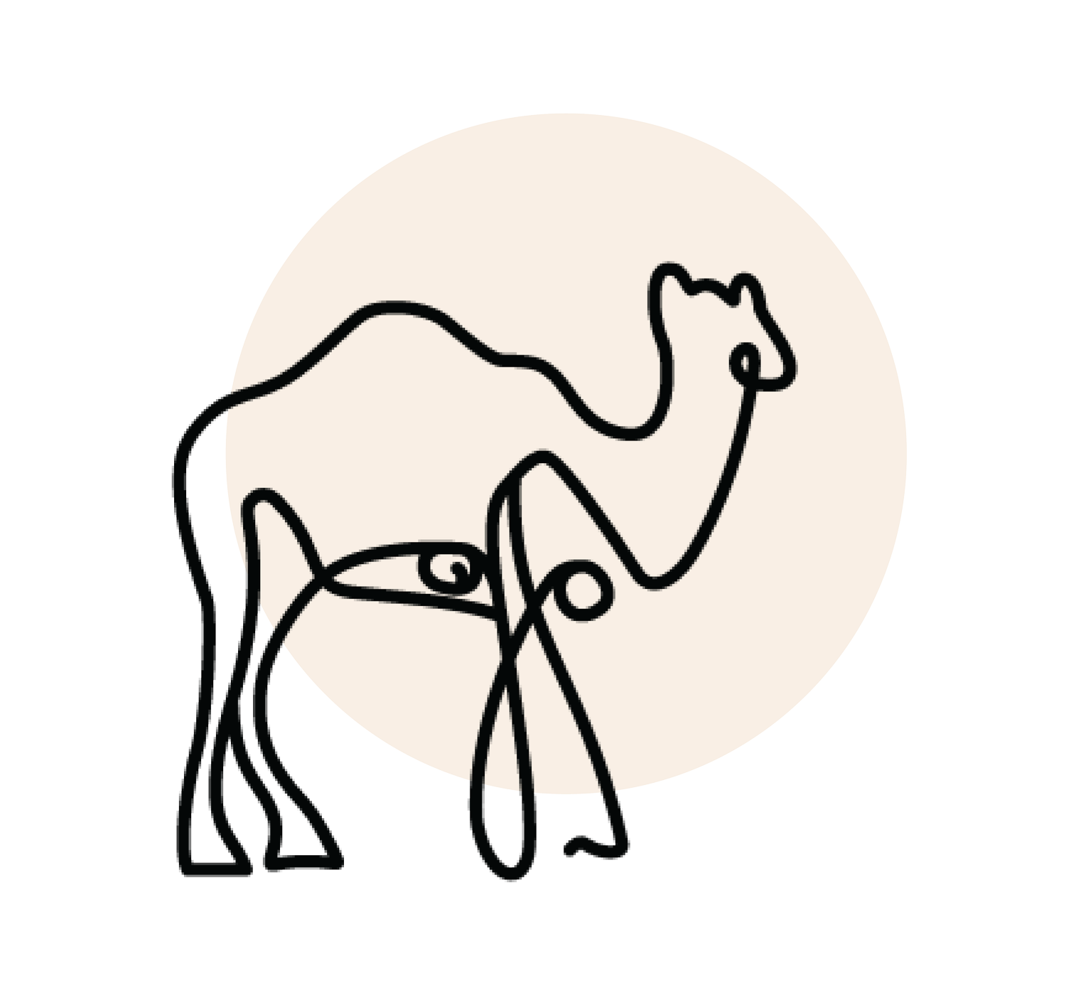 Camel City Women's Wellness