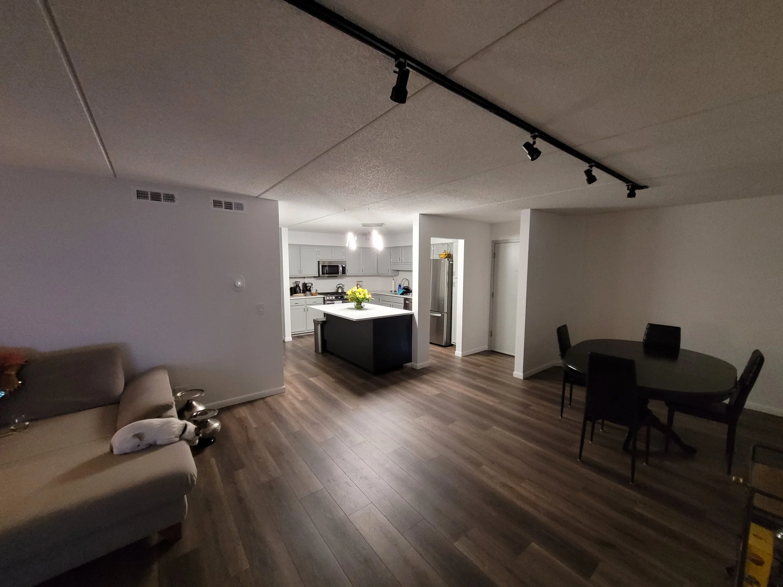 Dinning Room Remodel 3