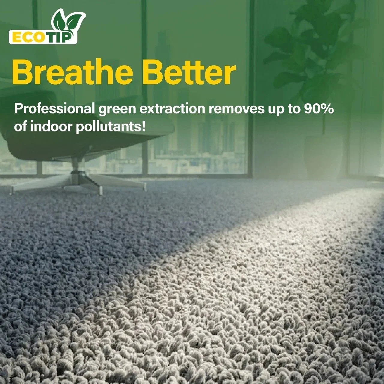 🌱 Breathe Better, Work Smarter