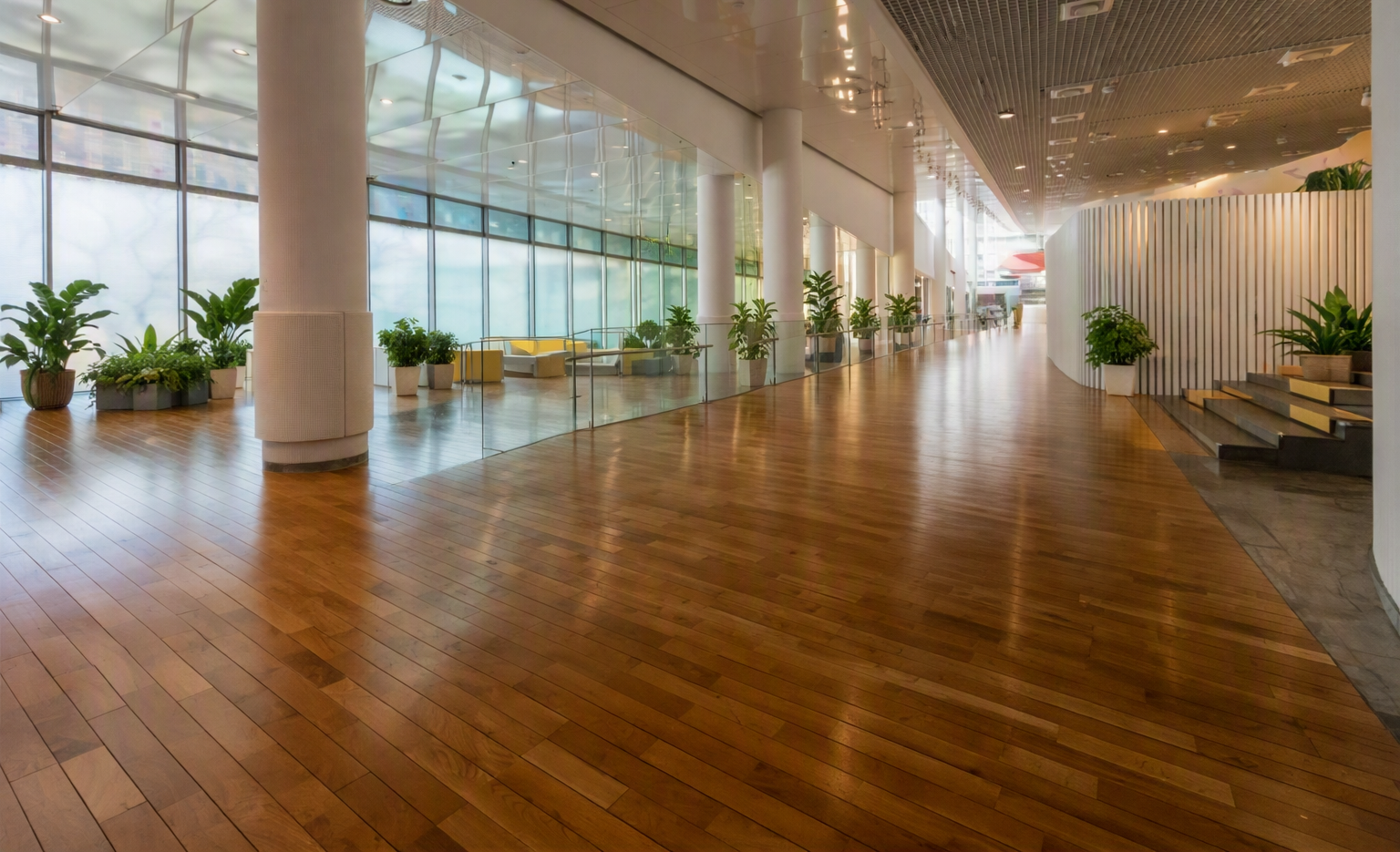 🌿 Eco-Friendly Cleaning and Customer Experience: How Sustainability Shapes Brand Loyalty