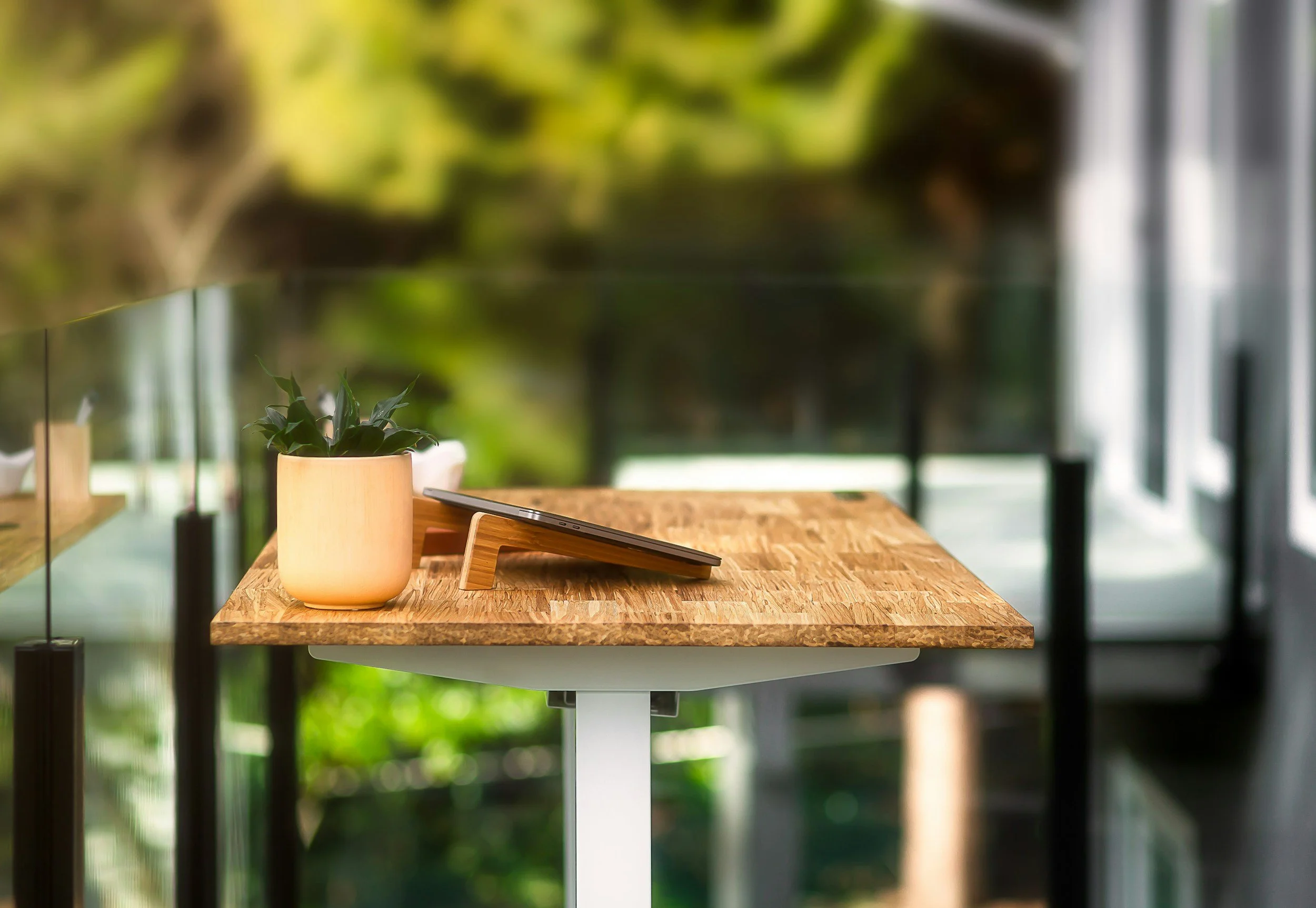 🌸 The Hidden Power of Scent: How Fresh, Eco-Friendly Spaces Influence Customer Emotions