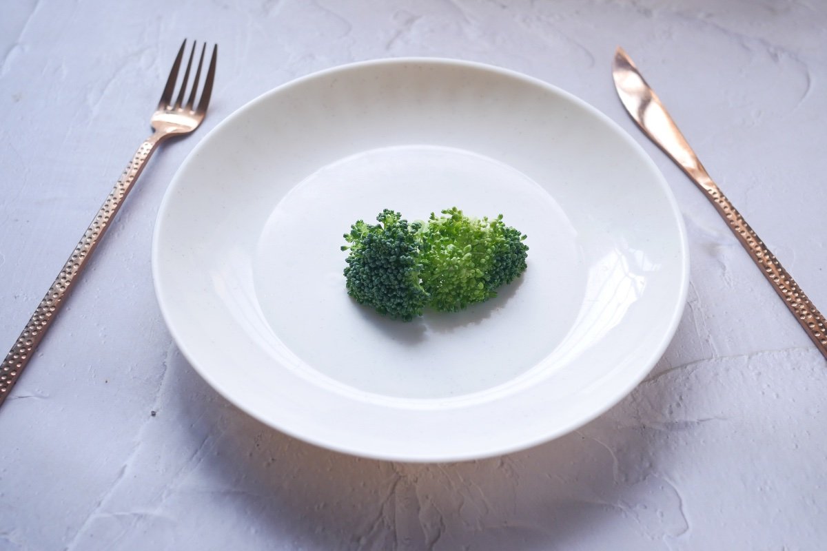 small piece of broccoli on plate with knife and fork
