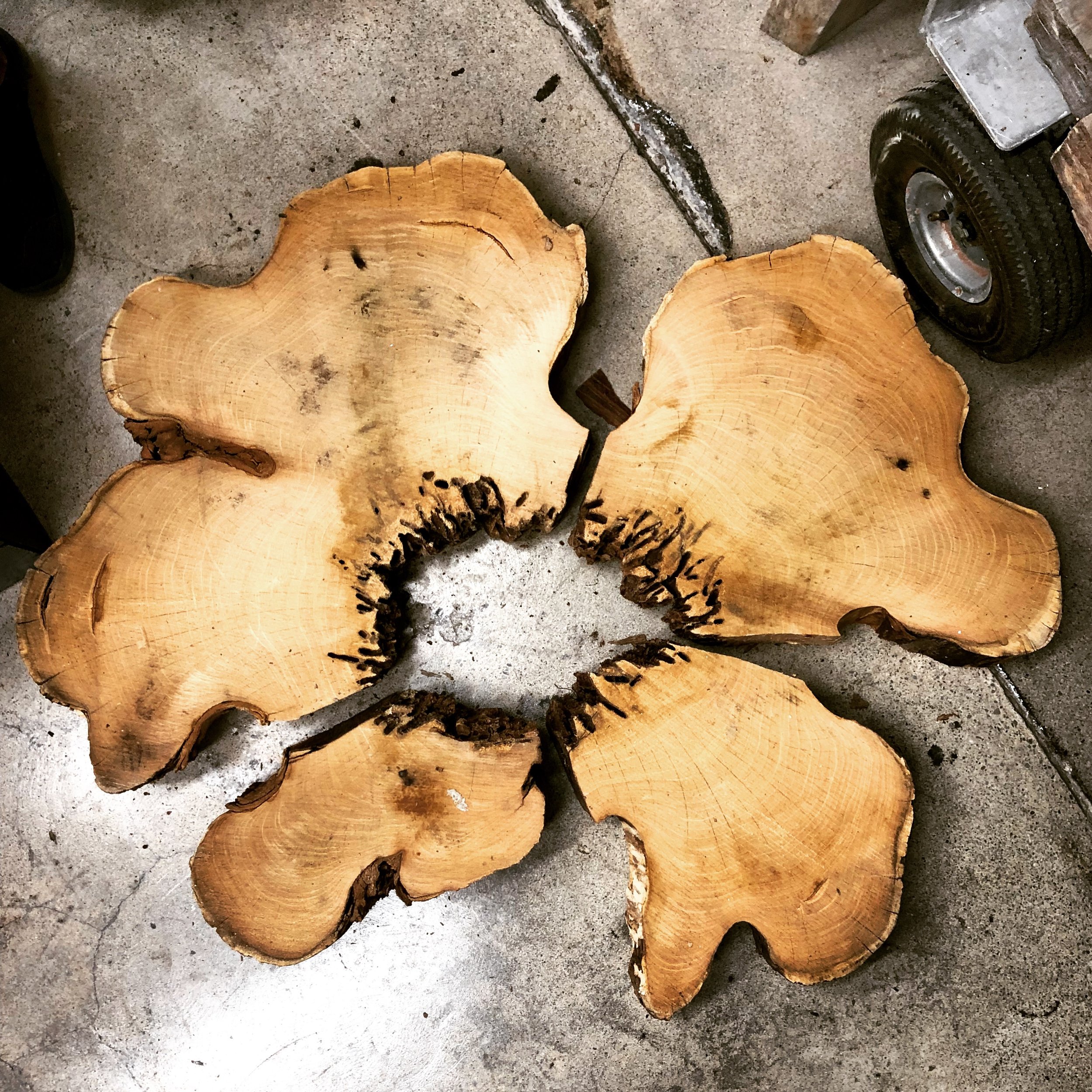 Large wood slab with a flower shape, showing the natural rings and cracks, placed on concrete floor.