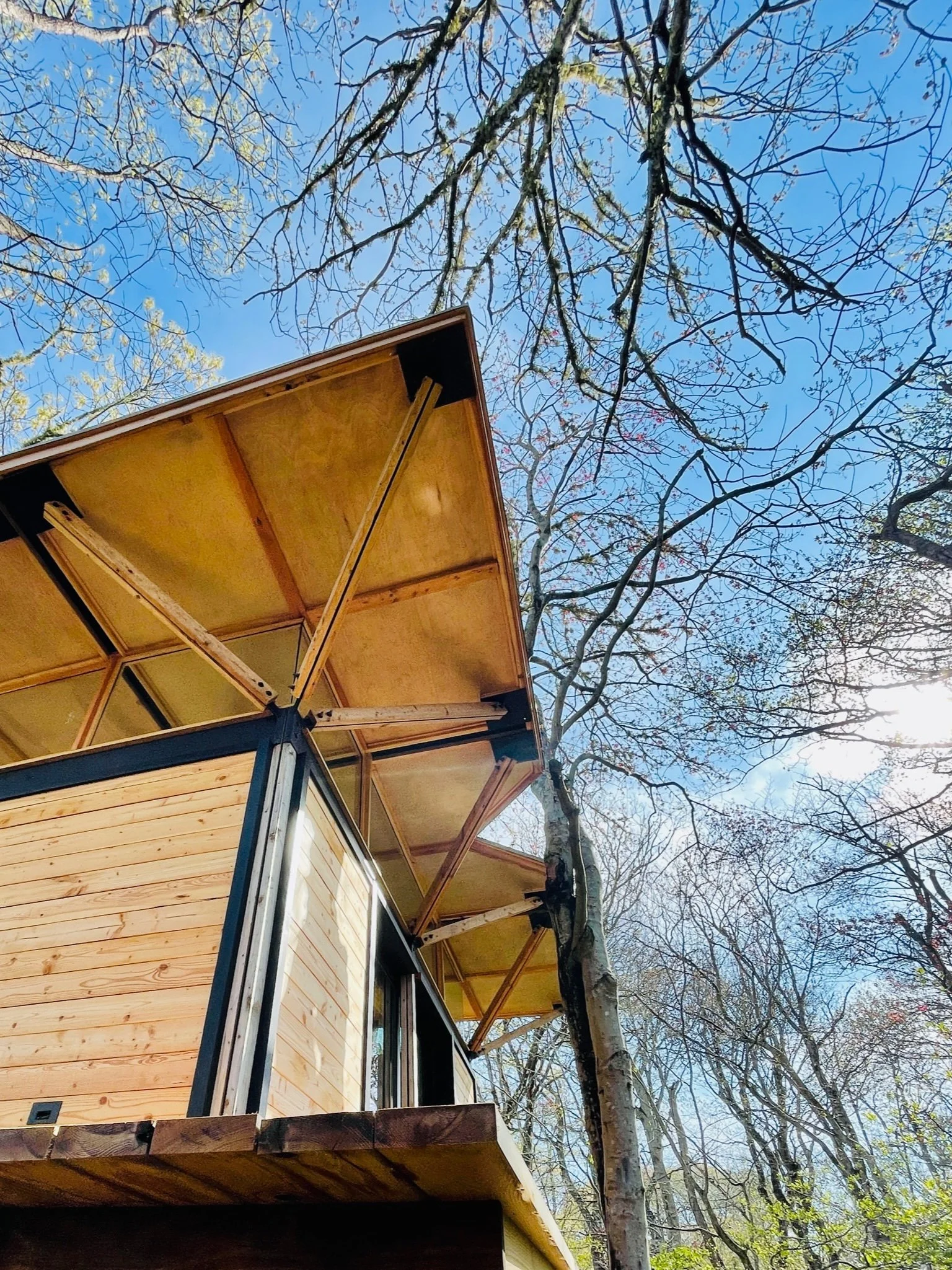 A modern wooden house with a large overhanging roof built on stilts, surrounded by leafless trees, with the clear blue sky and sunlight in the background.