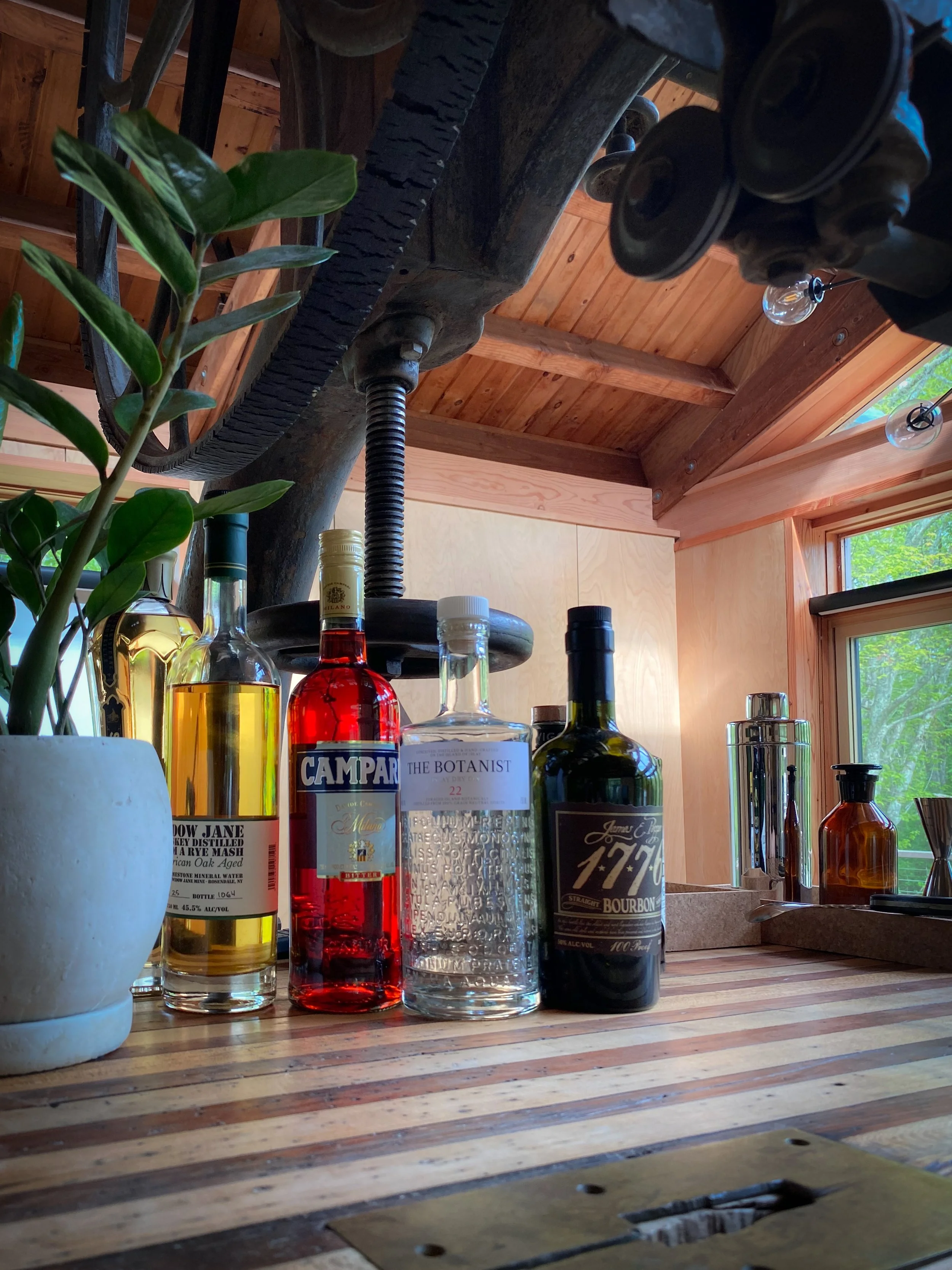 PELLEGRINO, ERIN_The Shop_Chilmark, MA (Martha_s Vineyard)_2020_Bar_06.jpg