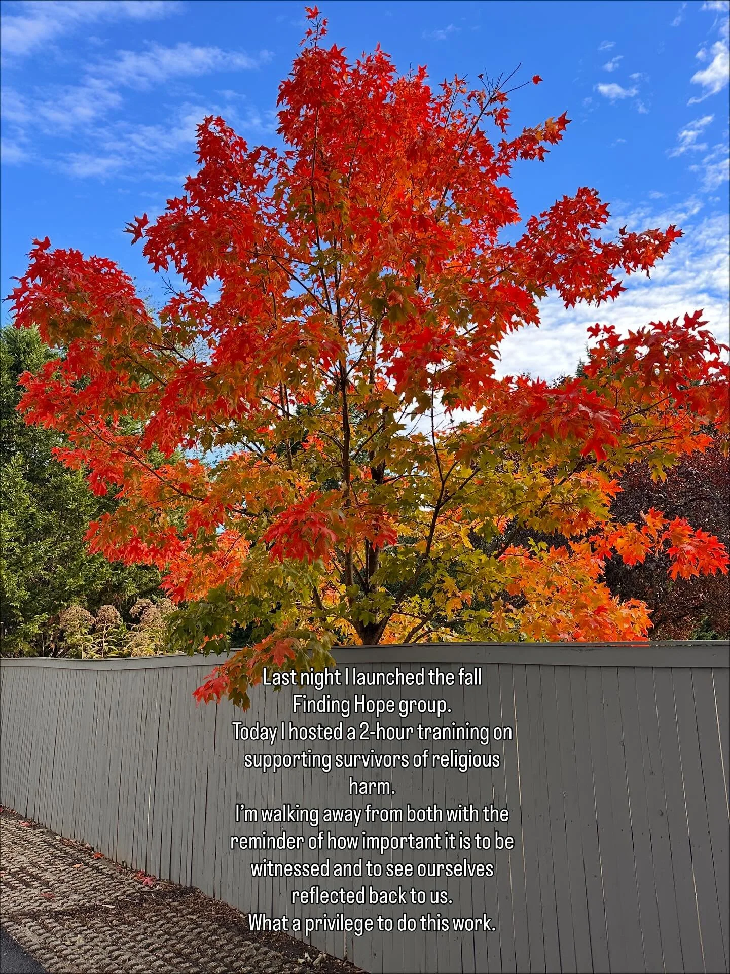 In November I&rsquo;ll be opening up 3 new coaching spots (virtual, nationwide) and several trauma therapy slots in partnership with The Phoenix Center (virtual/in-person in Media, PA). Reach out for more information! 

#NowAcceptingClients #TherapyO