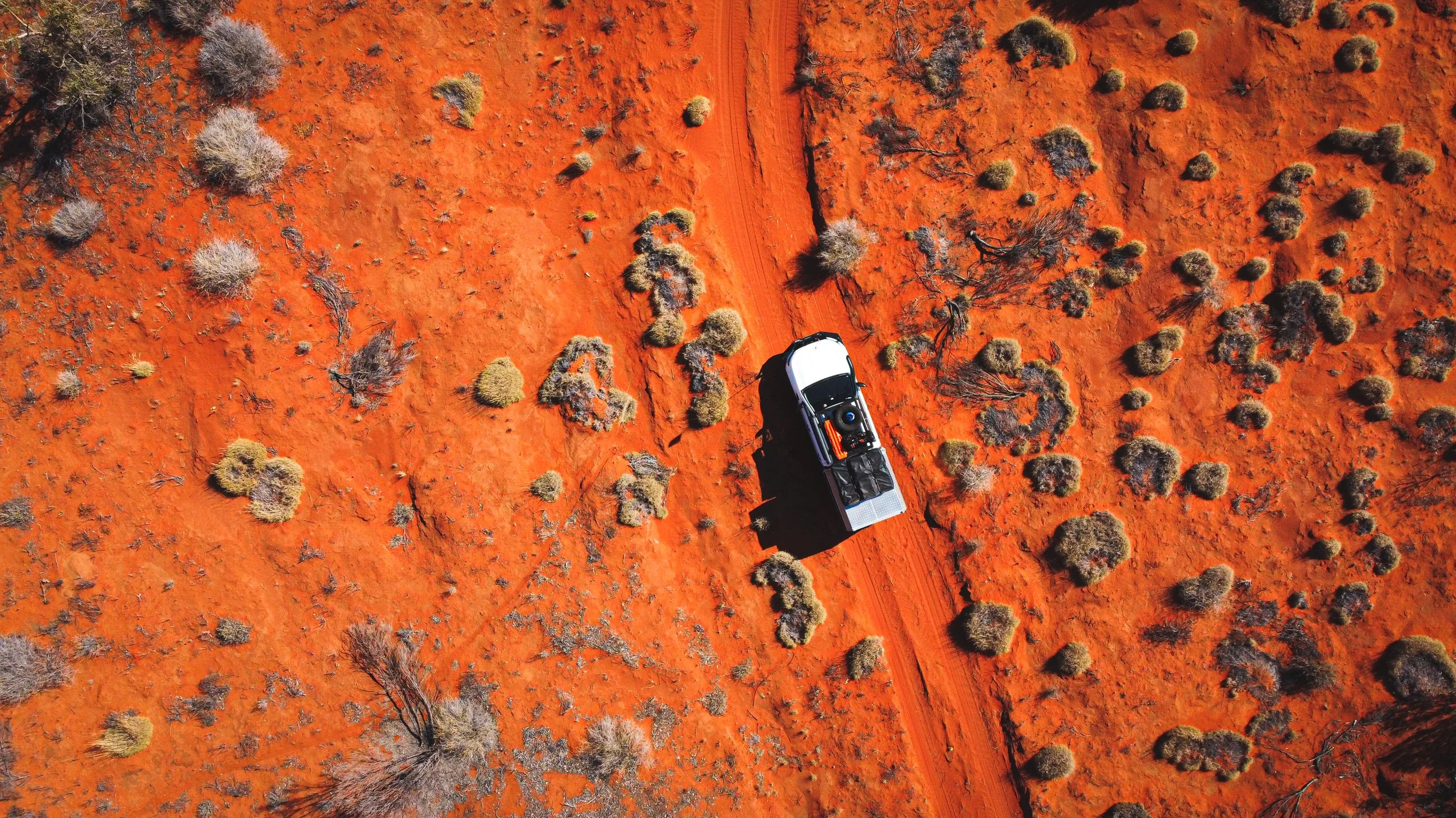 DJI_0309.jpg