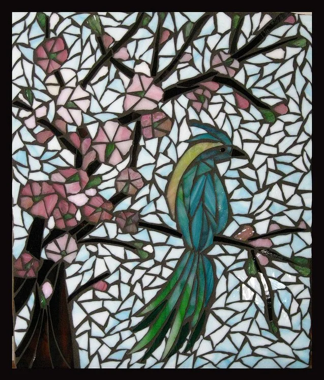 Bird of Paradise.jpg