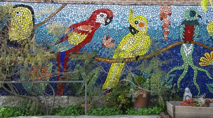 MH_Tropical-birds.jpg
