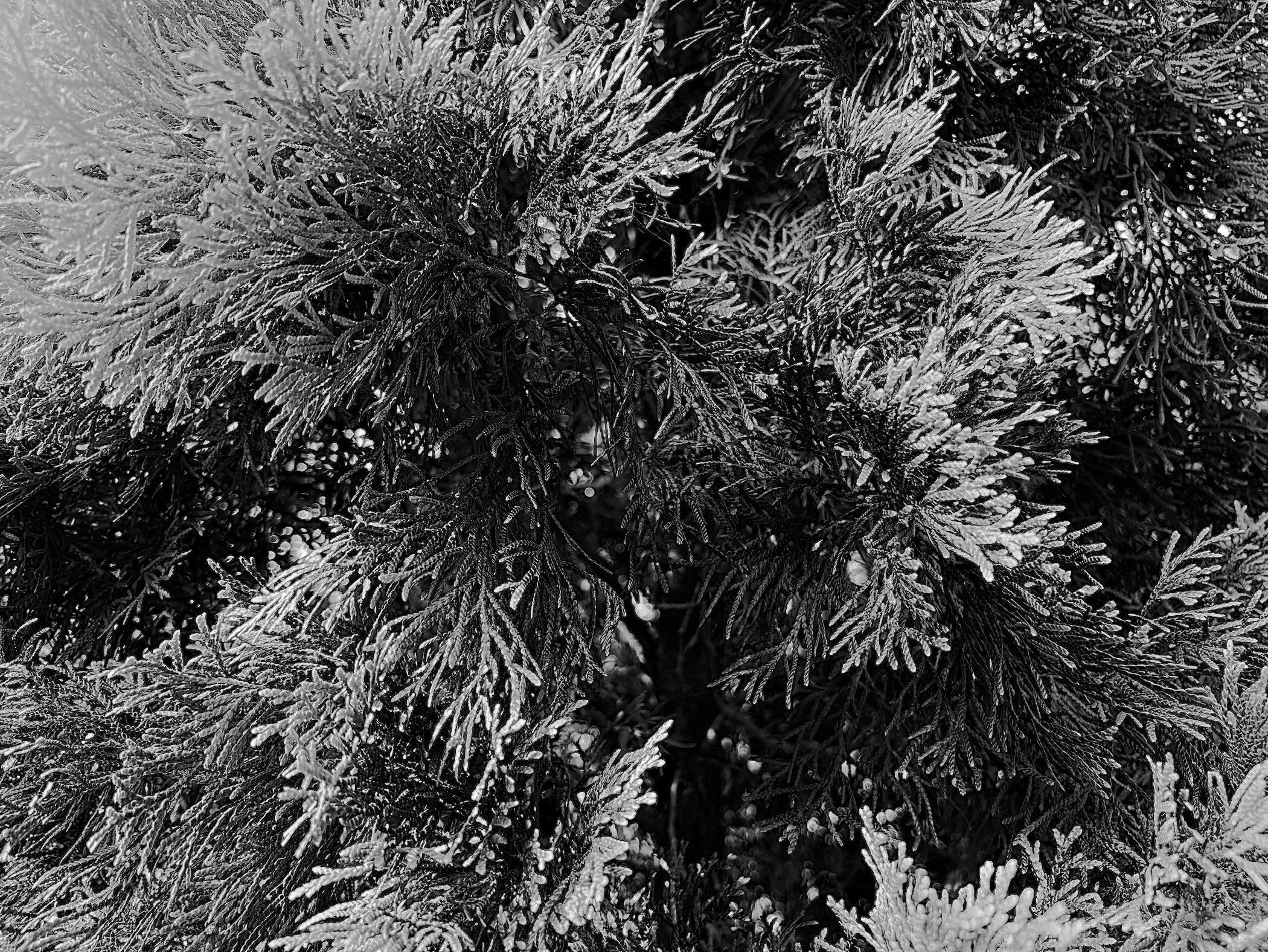 Single Release Party