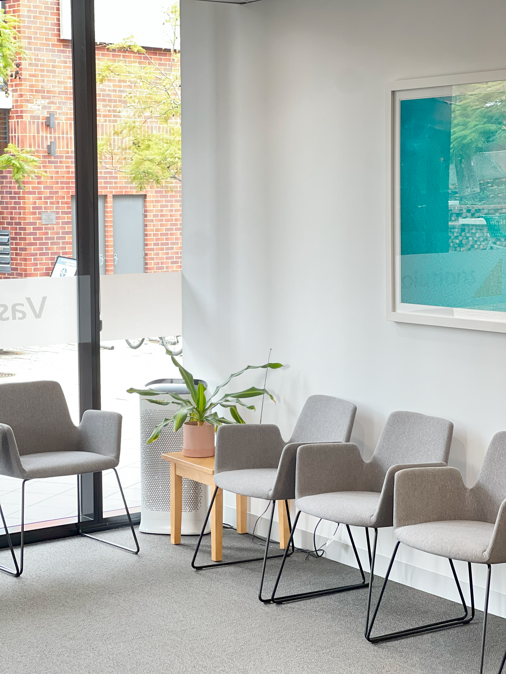 Vascular Solutions Subiaco