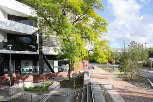 Vascular Solutions Subiaco