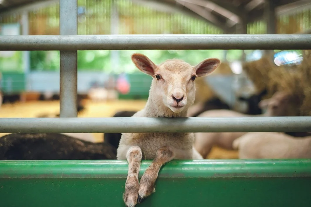 Compliance & Traceability