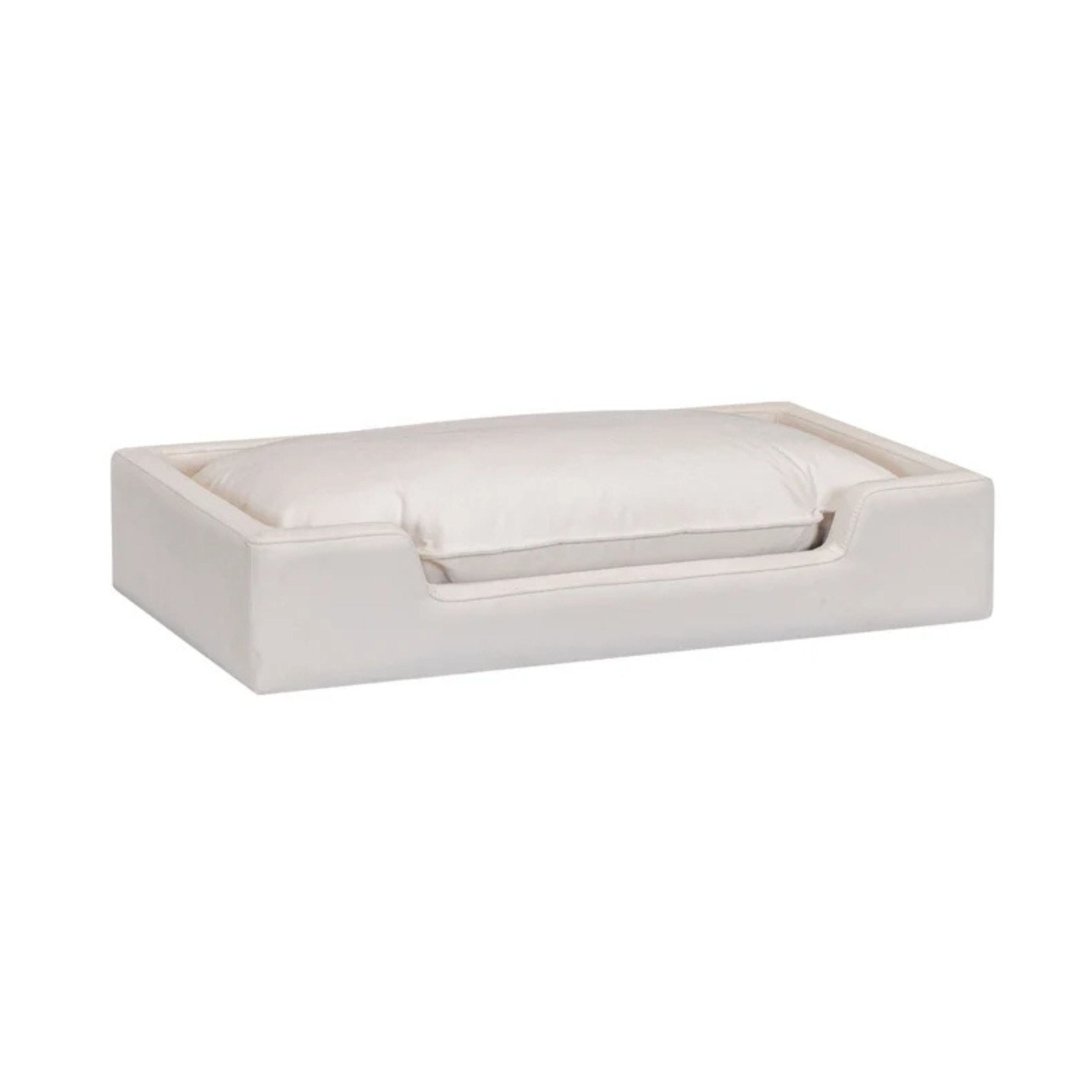 REN-L0094-PB.jpg