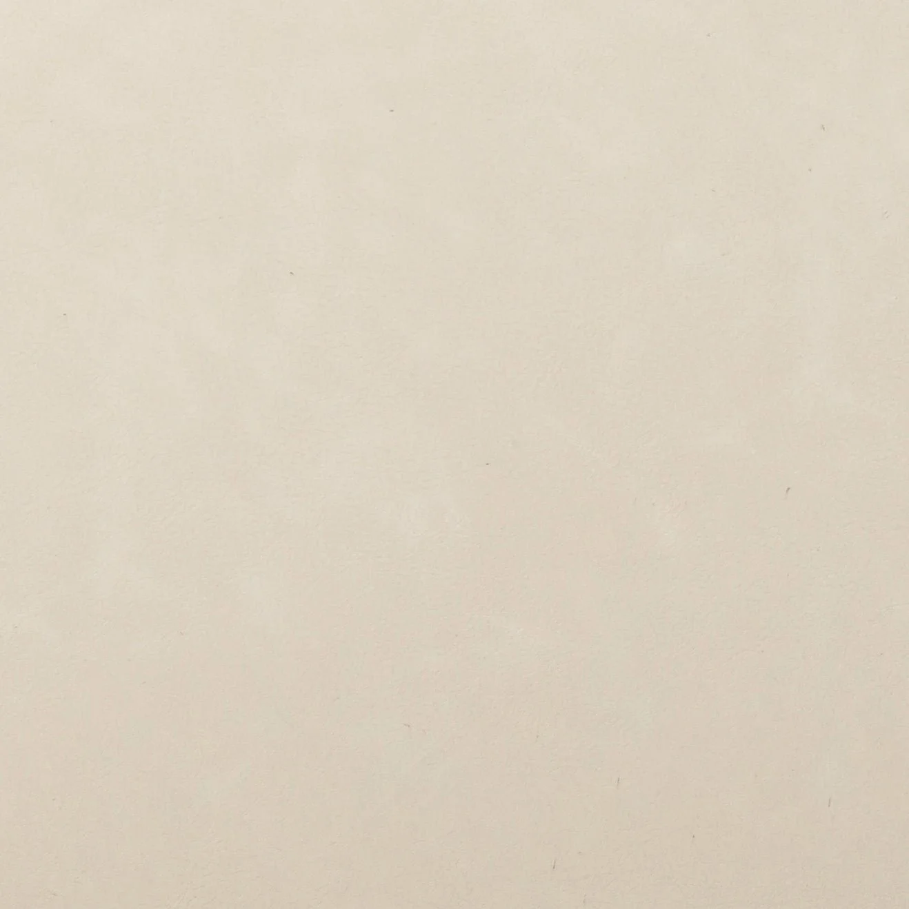 media_5c5b0619-d2e9-4b72-8945-70b6fc455471.jpg