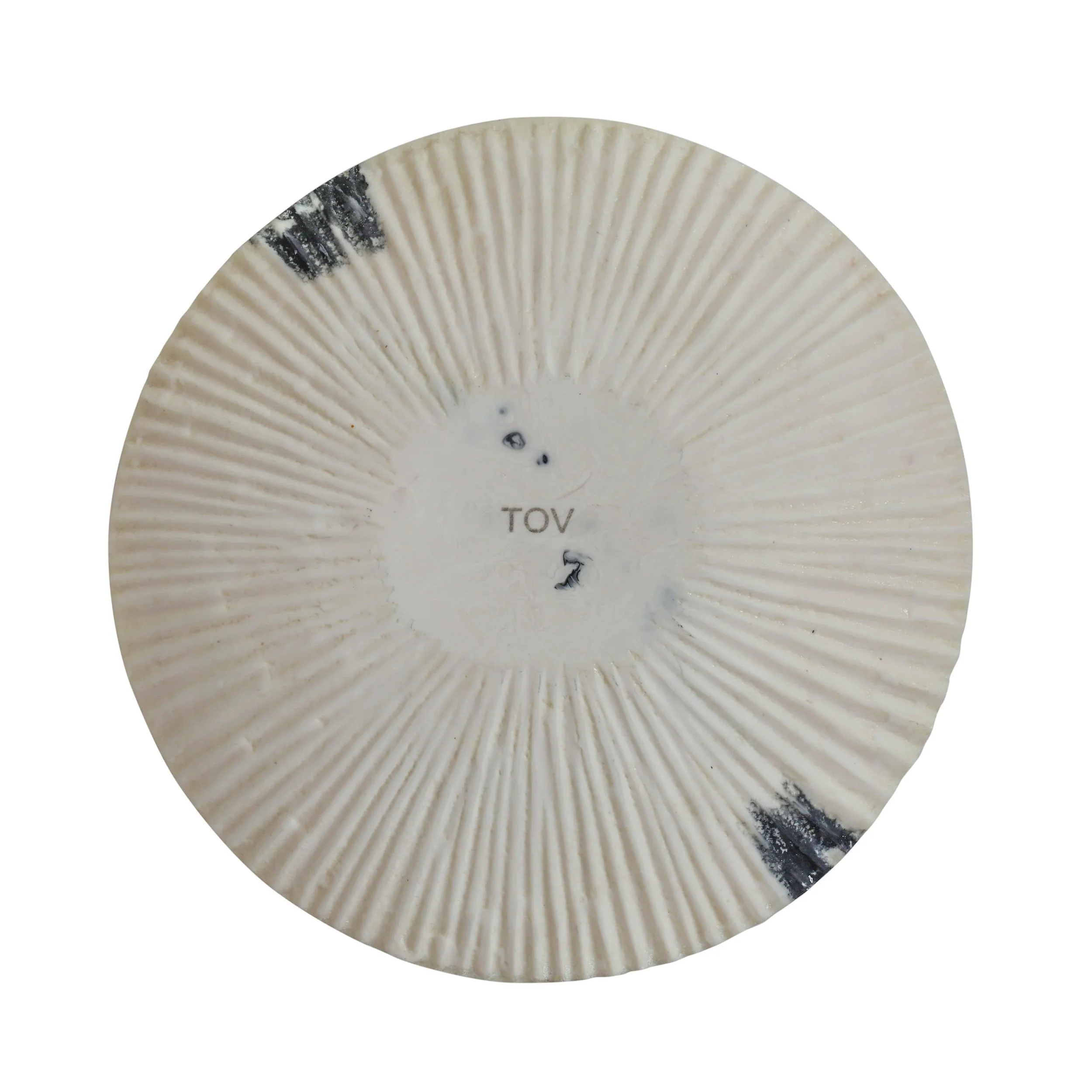 TOV-T18881.media.03.jpg