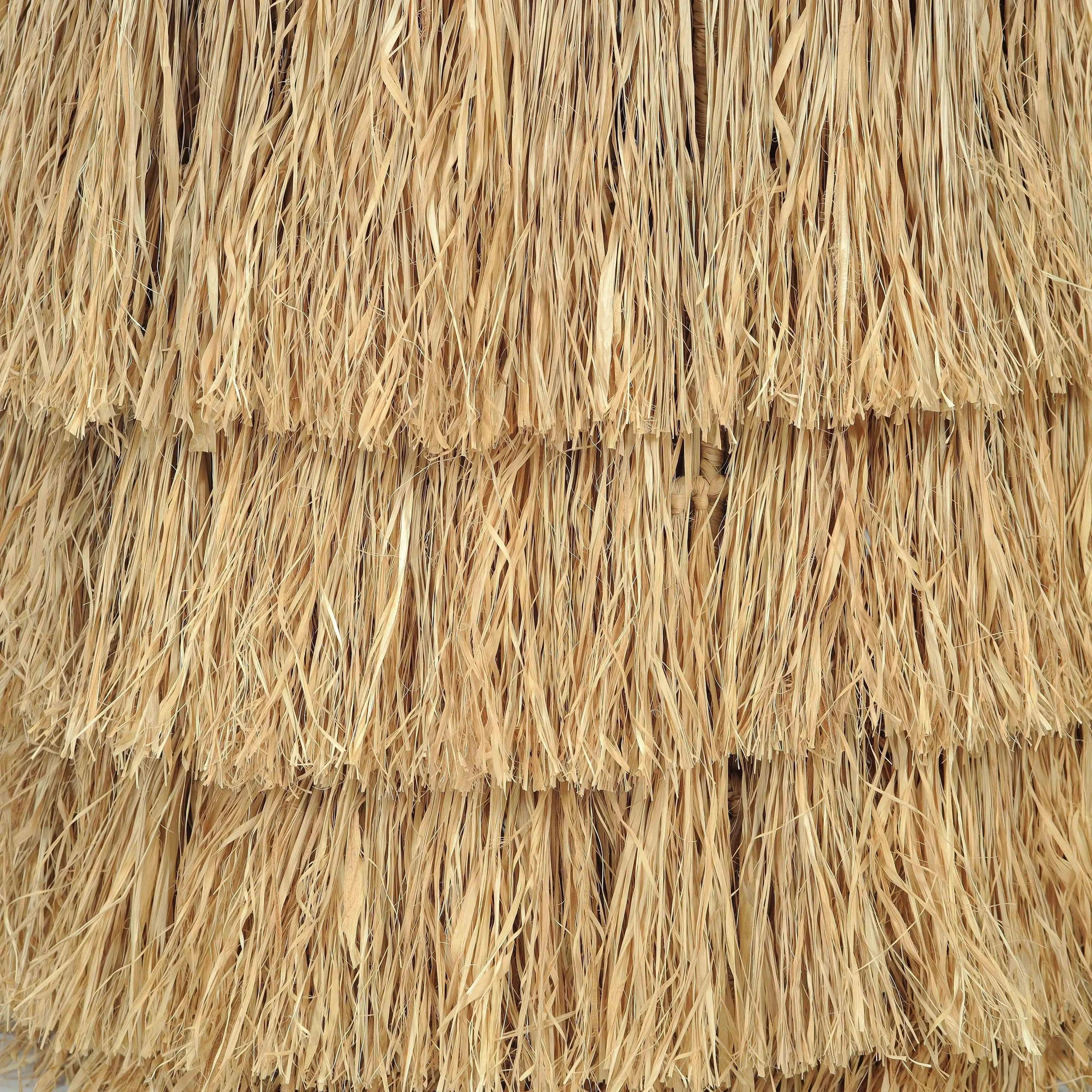 TOV-OC21040.media.05.jpg