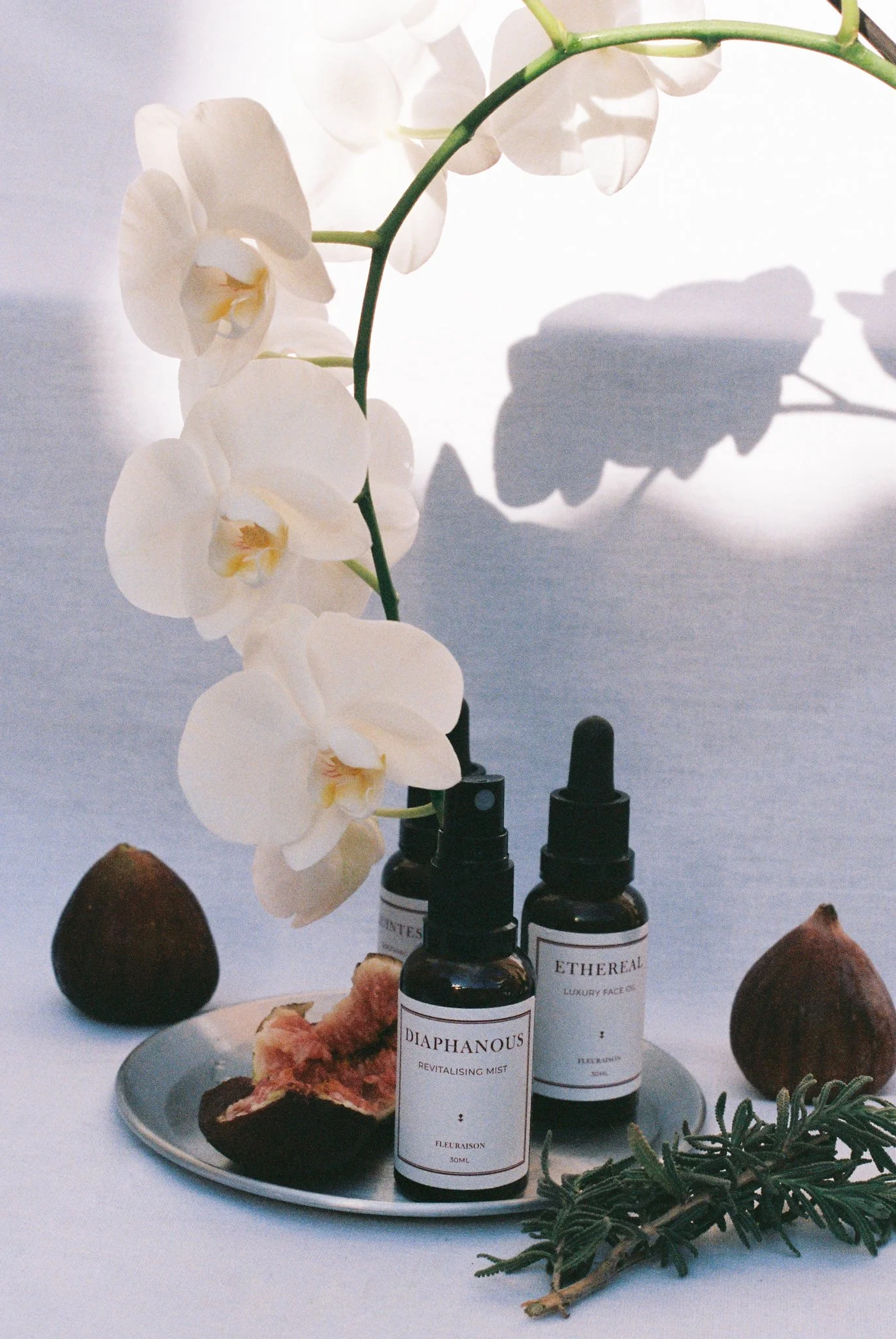 Botanical face mist and face oil styled on a silver tray with figs, rosemary and white orchids against a white backdrop