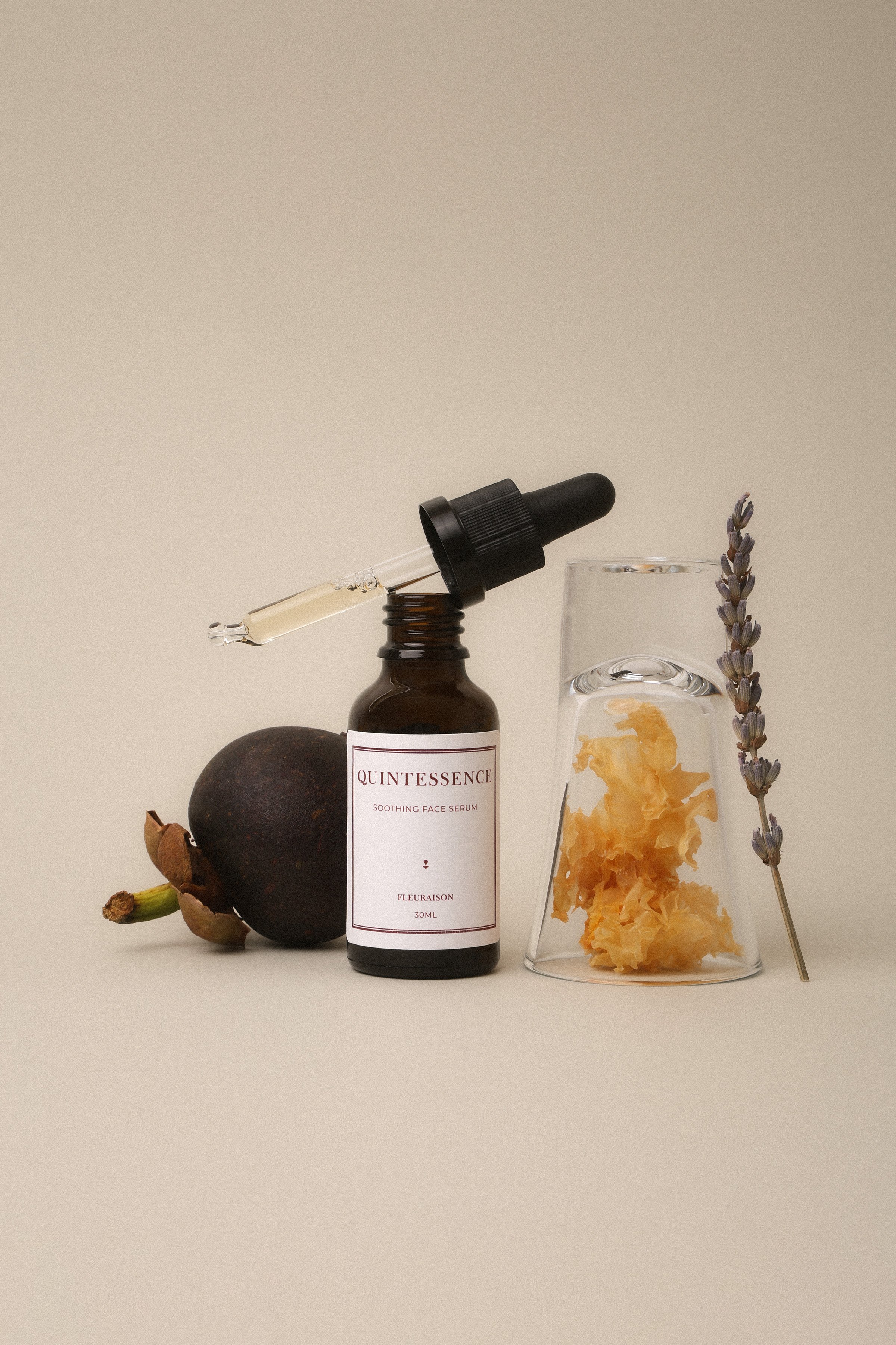QUINTESSENCE 02.jpg